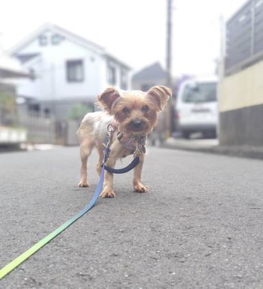 アールの写真