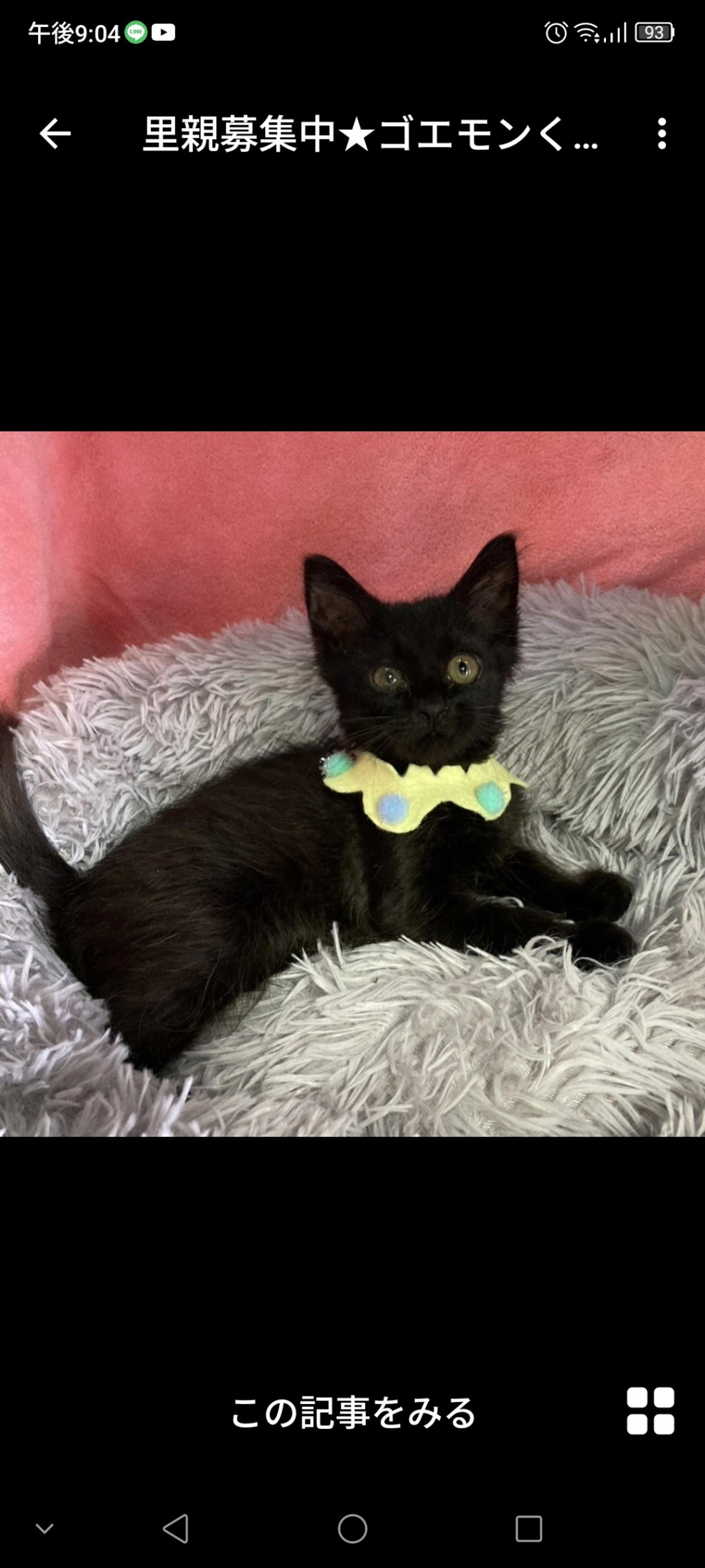 pet-image-2