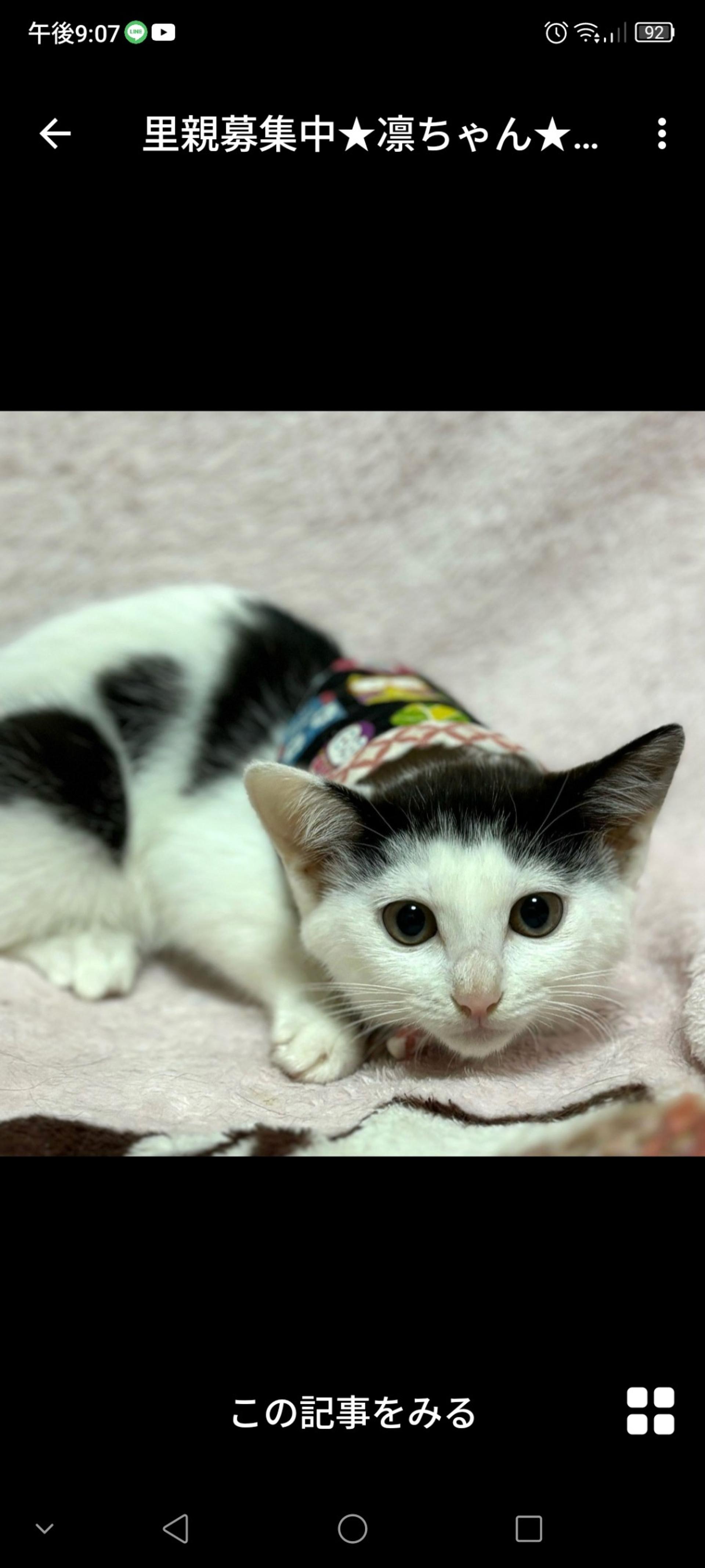 pet-image-2