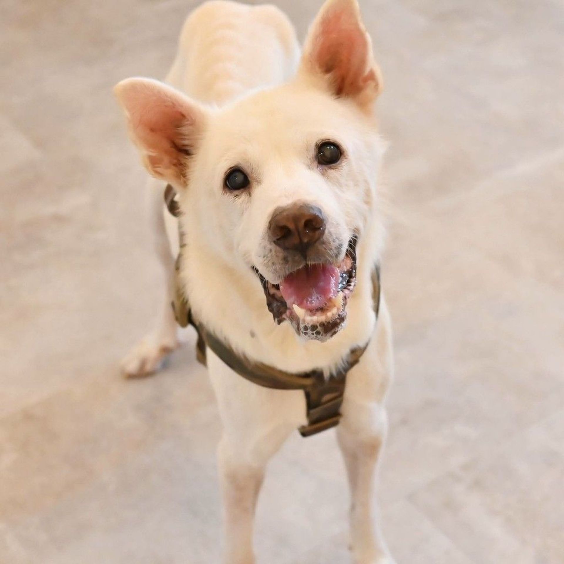 thumbnail-6