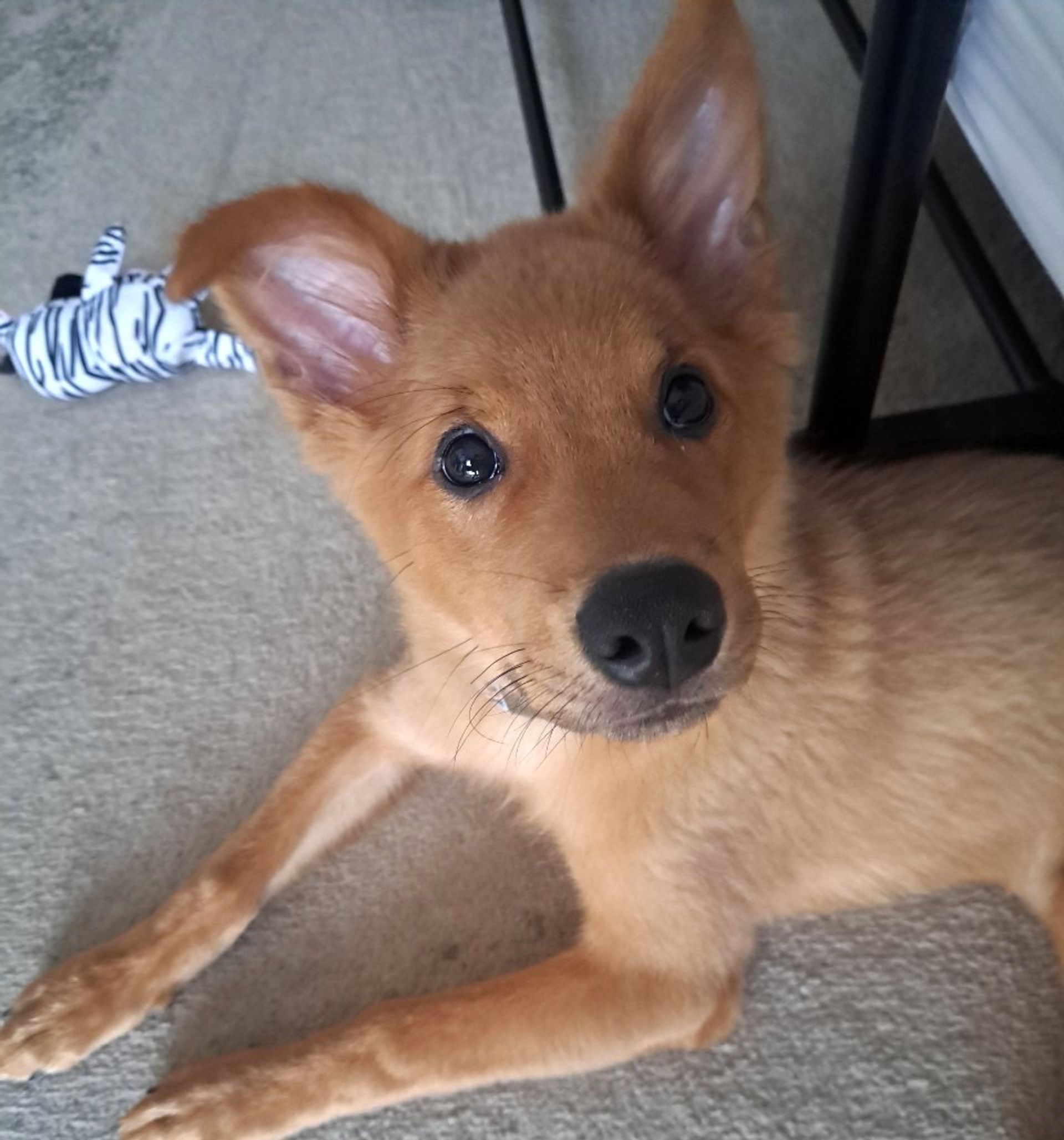 thumbnail-6