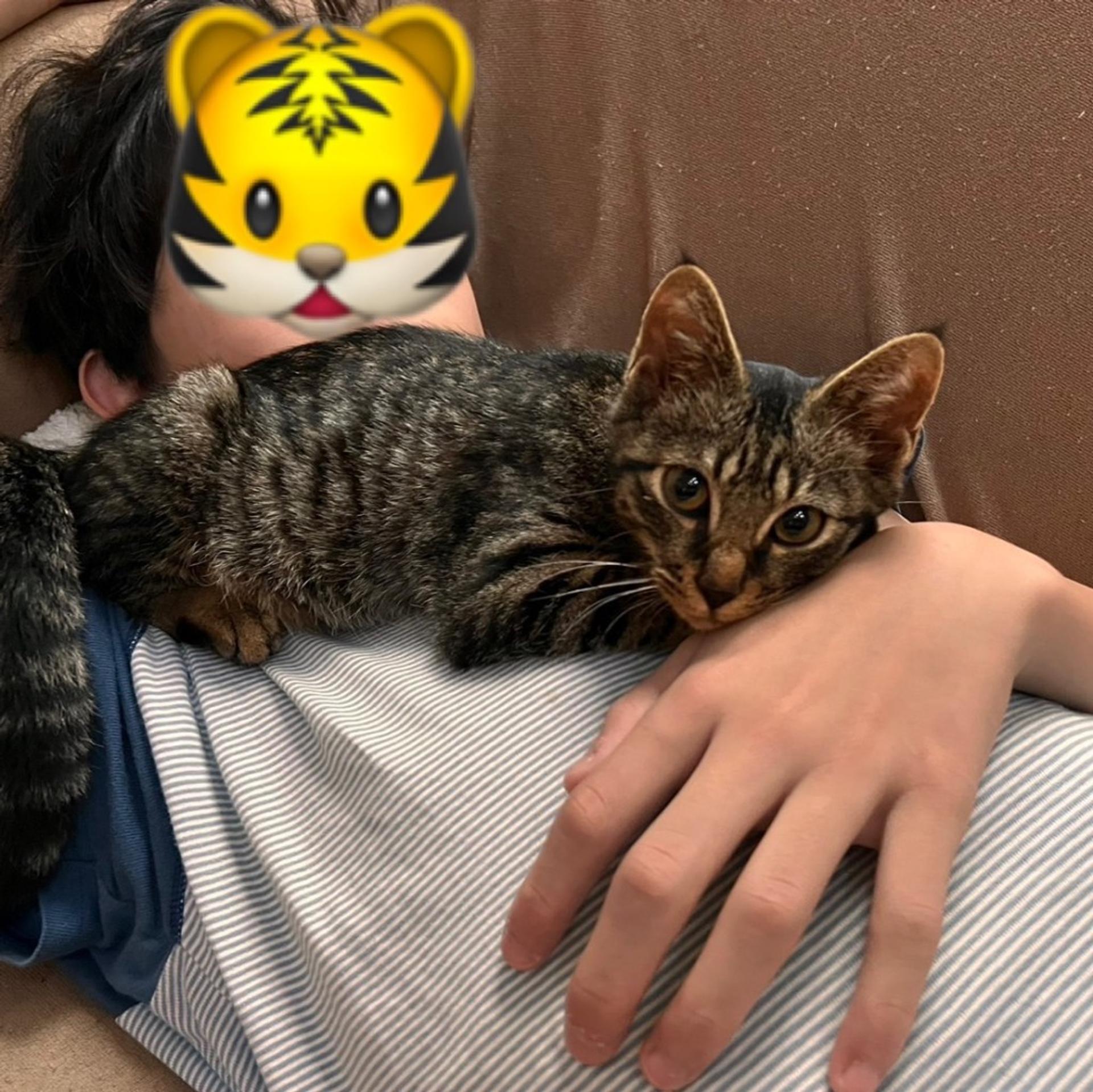 pet-image-6