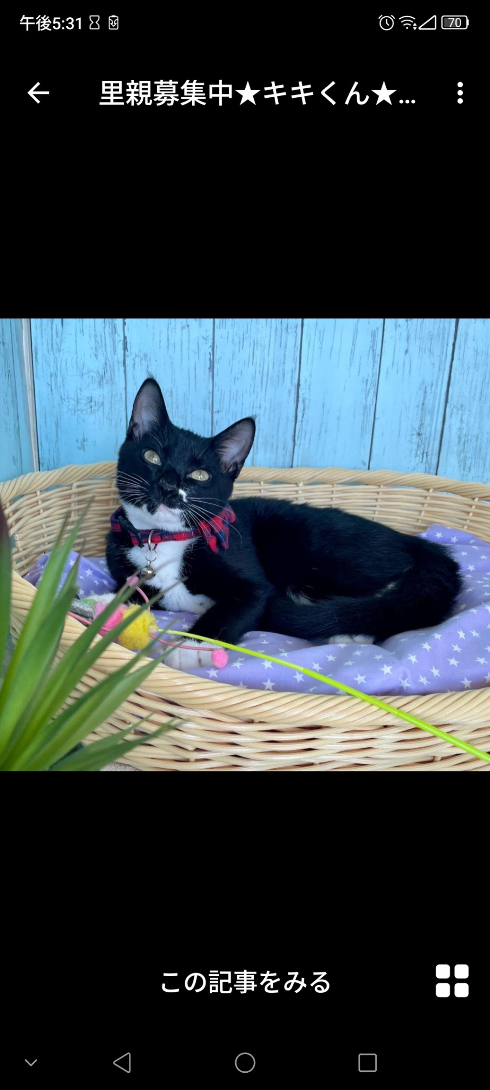 pet-image-2