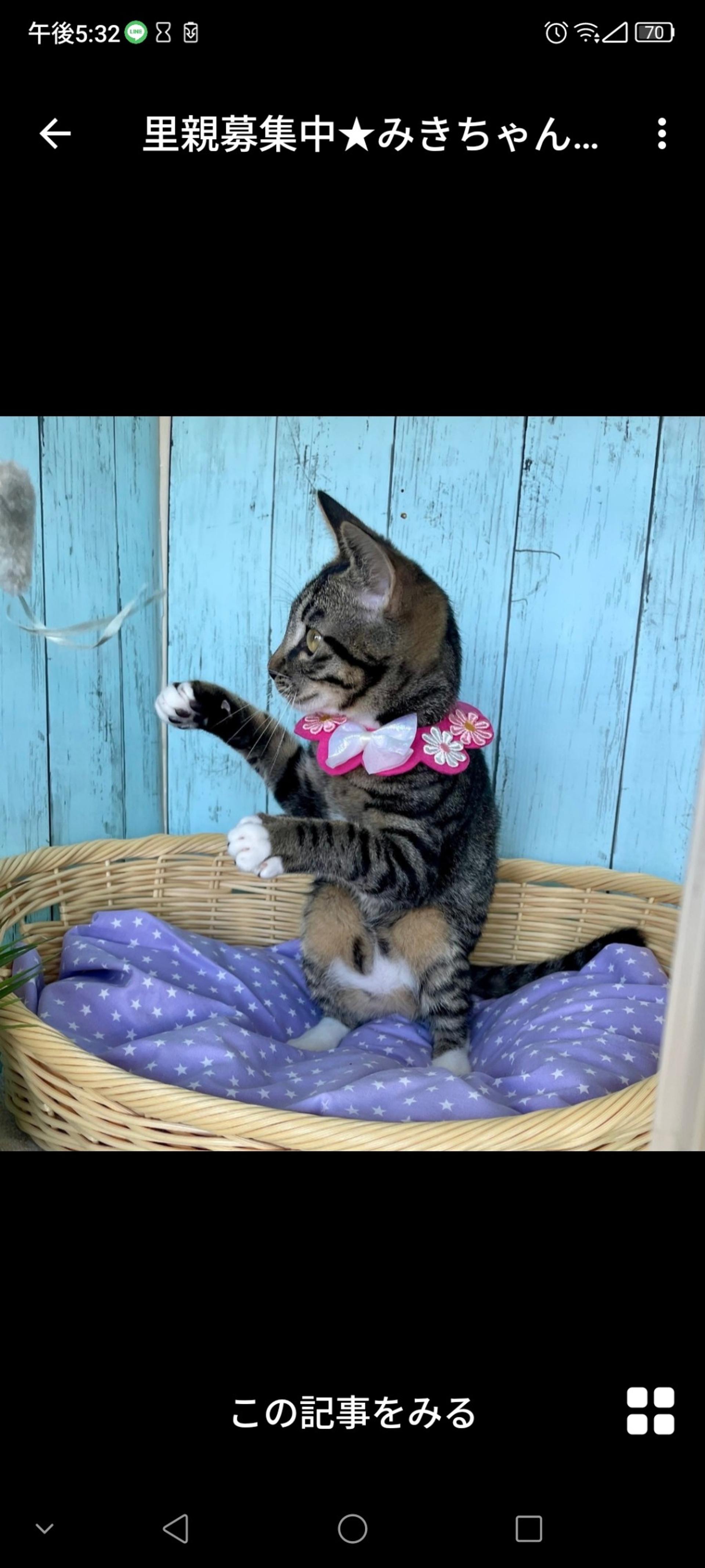 pet-image-3