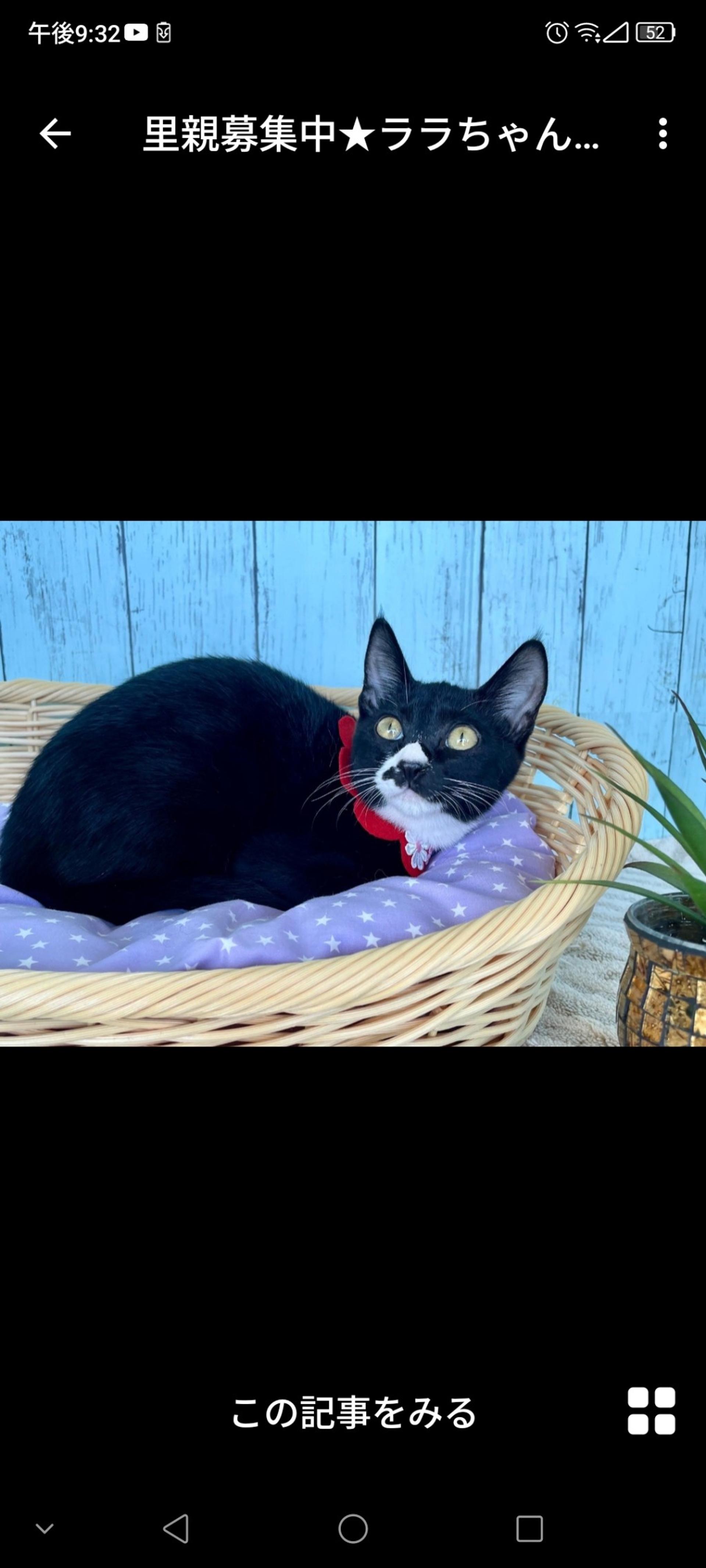 pet-image-3