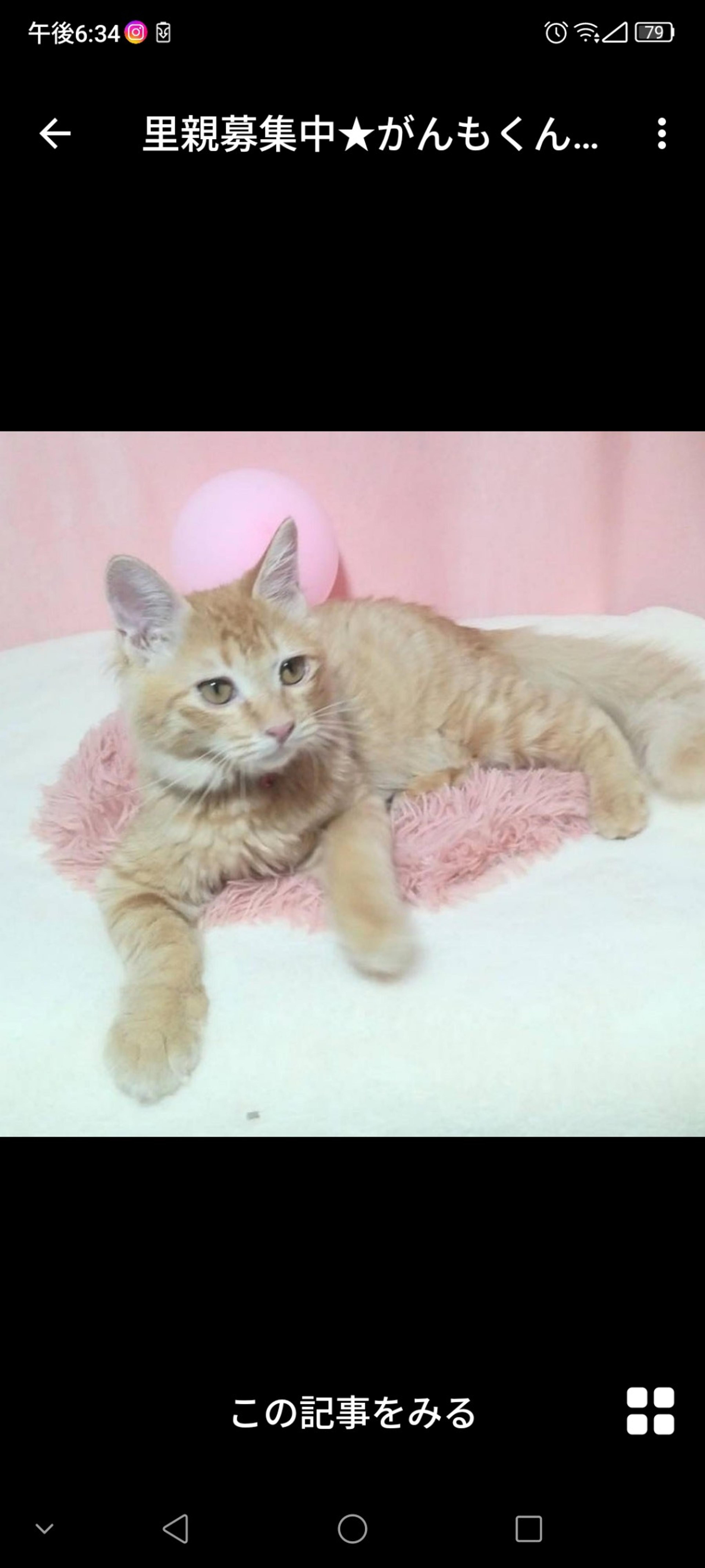 pet-image-3