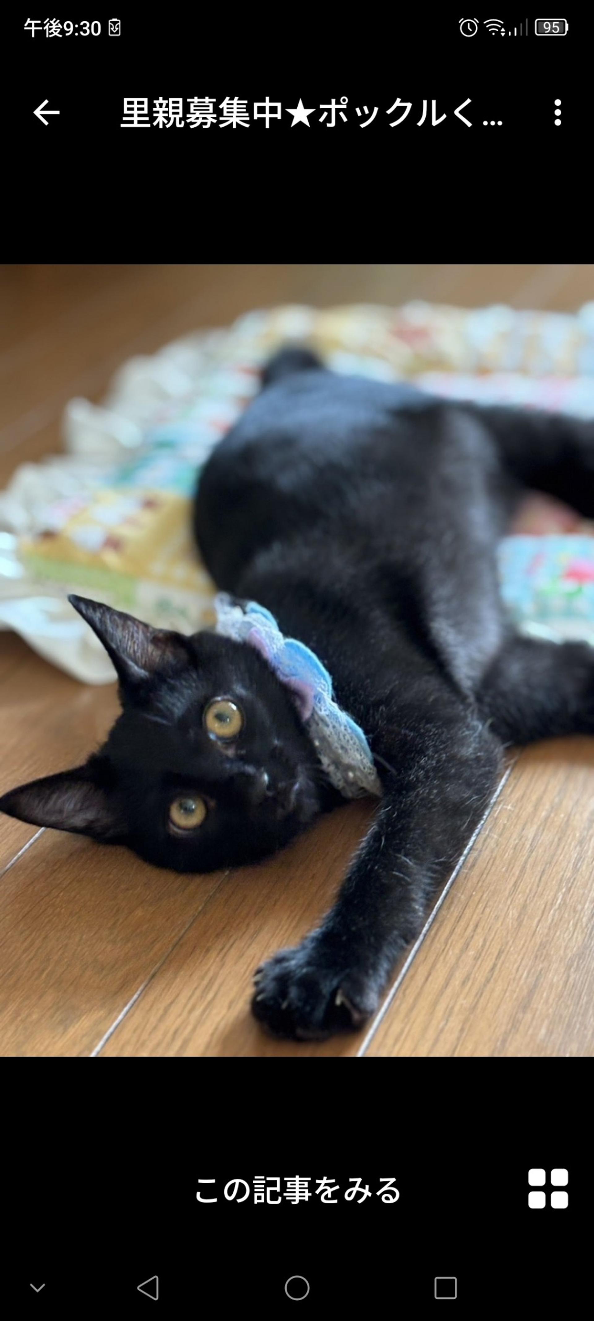 pet-image-2