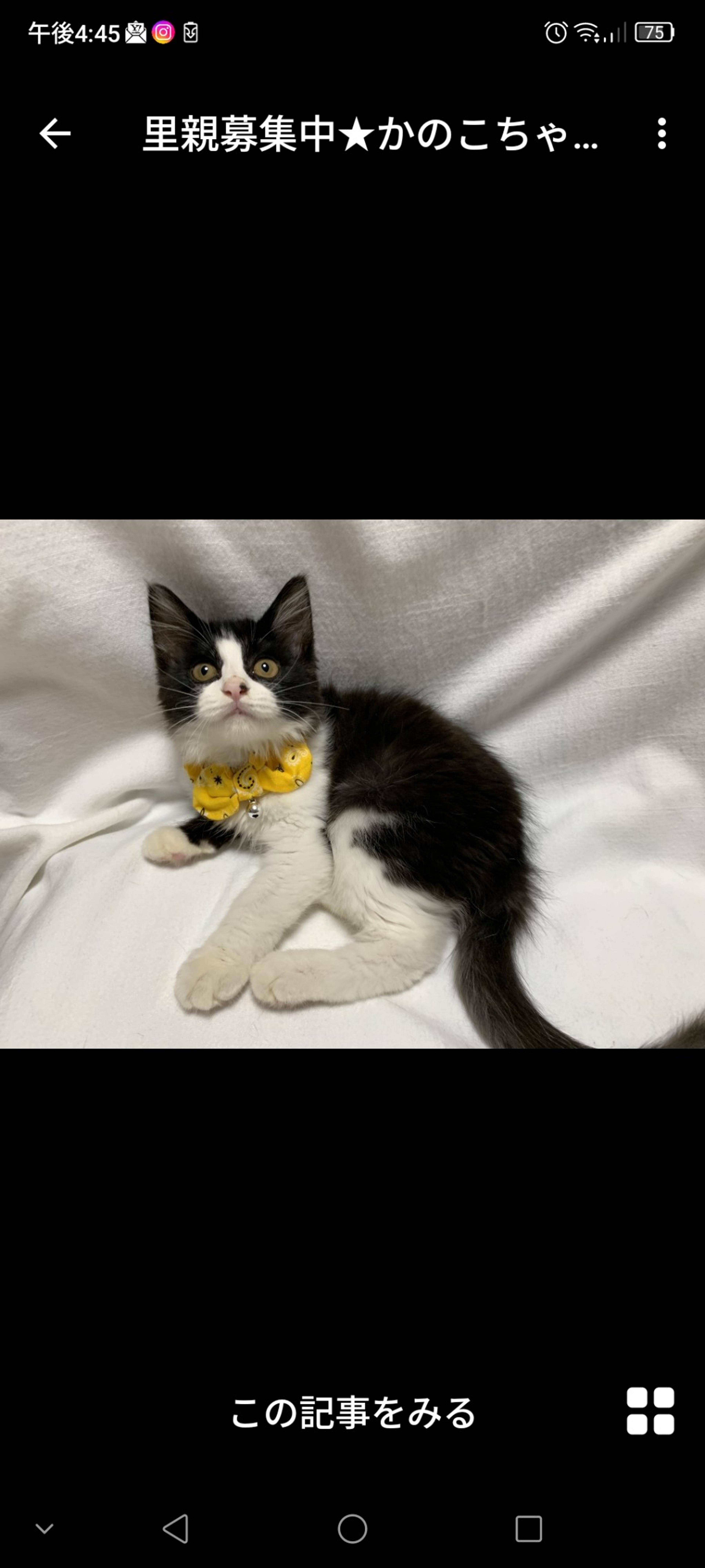 pet-image-2