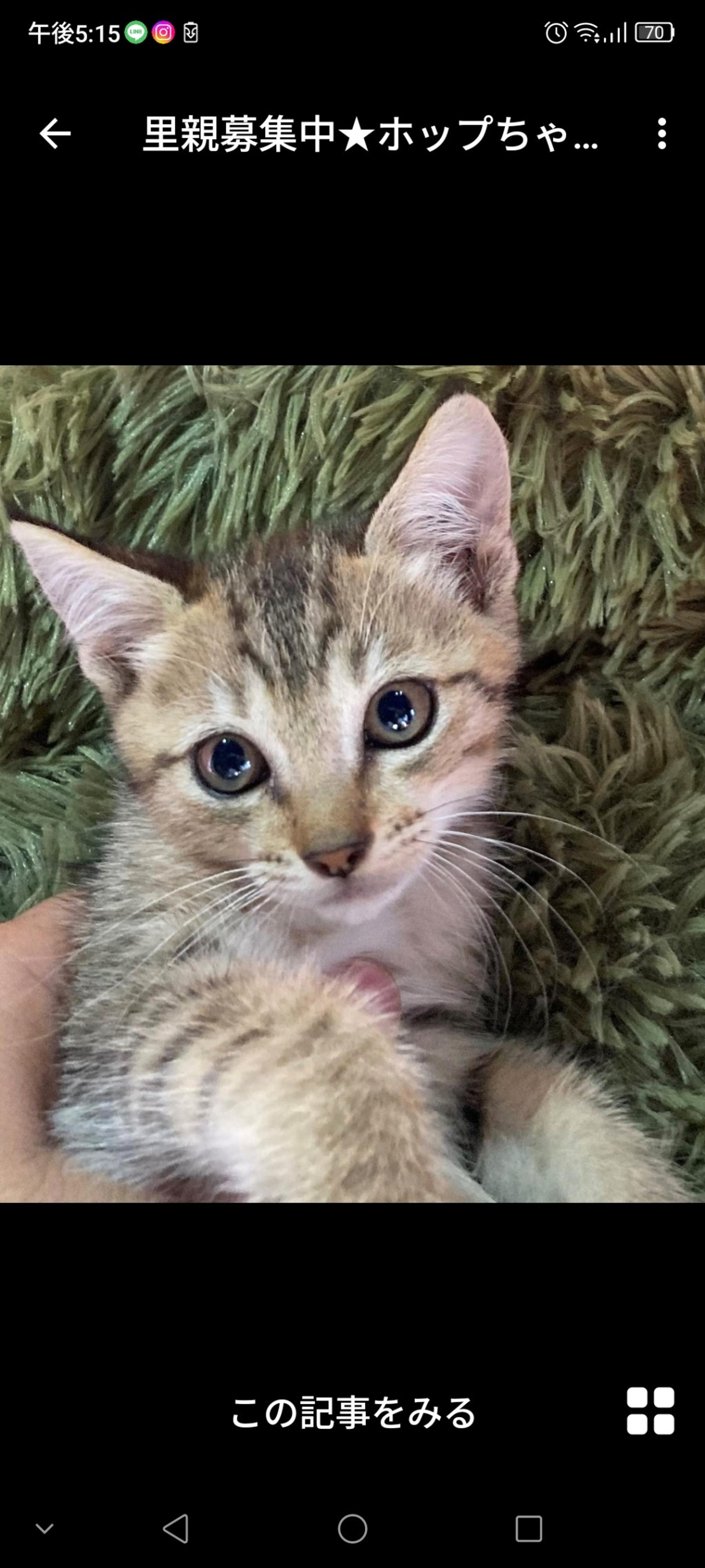 pet-image-3