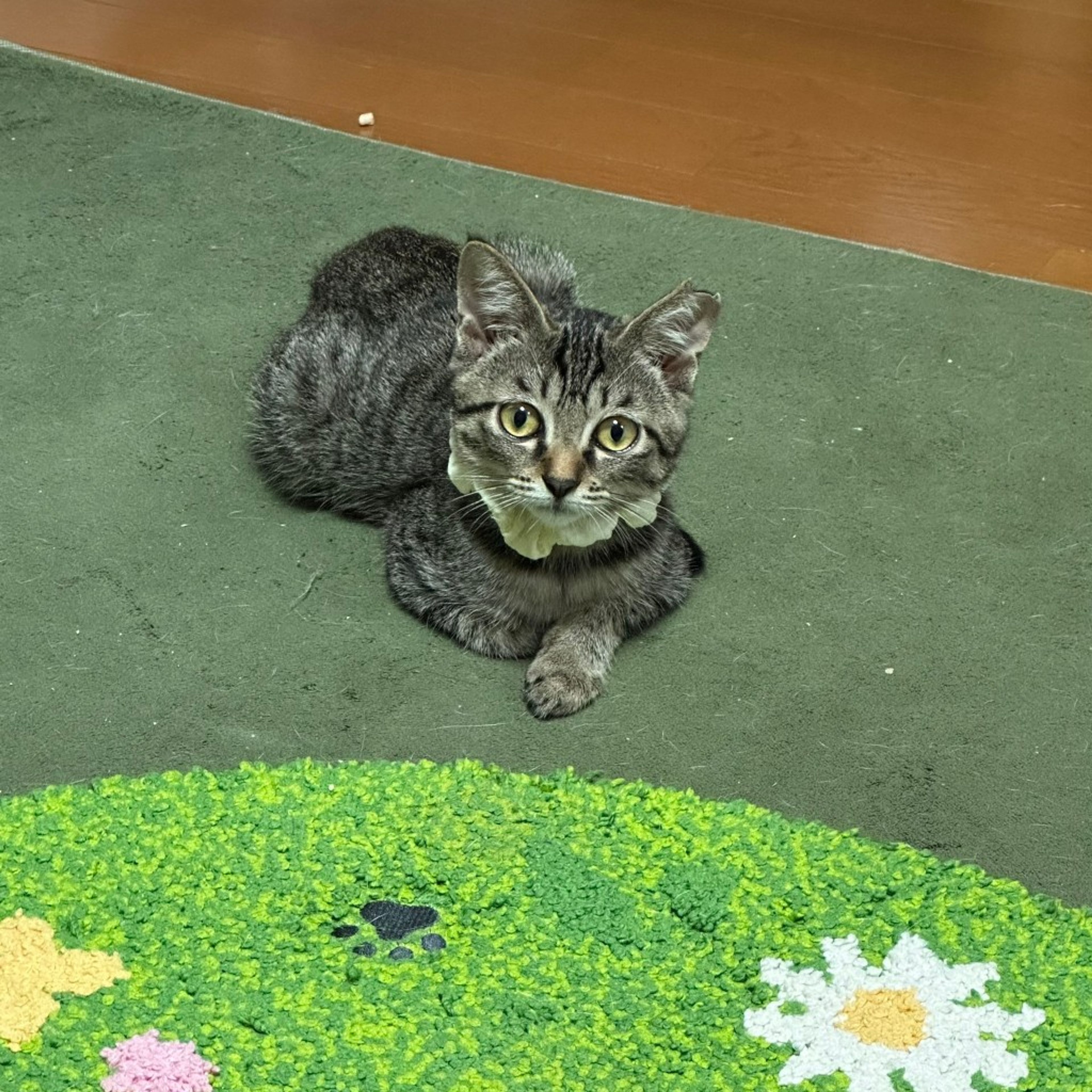 image-5