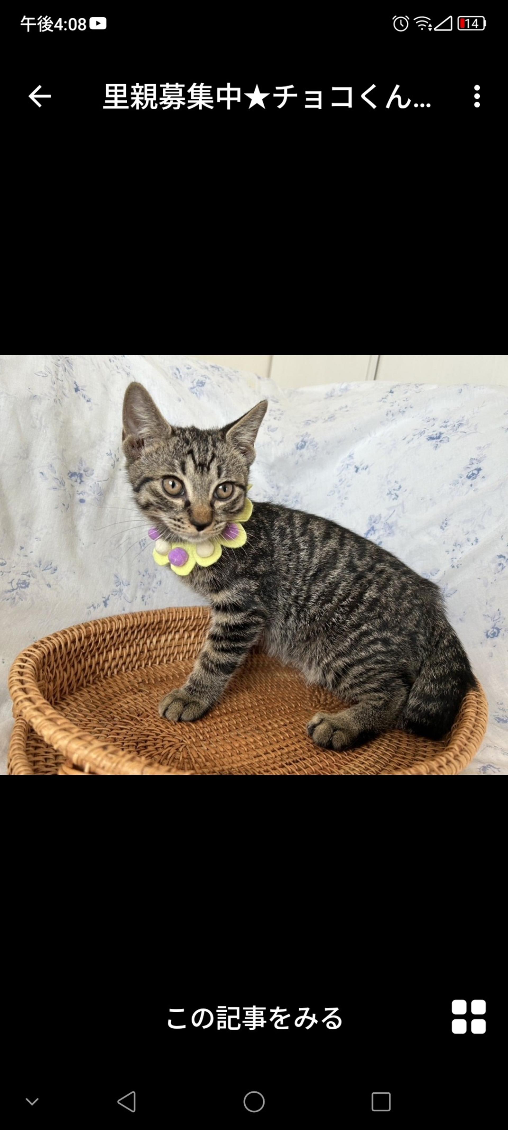 pet-image-3