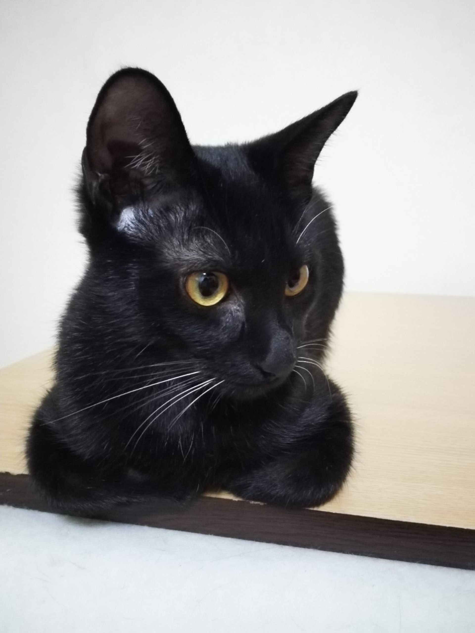 thumbnail-3