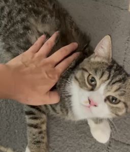 thumb-6