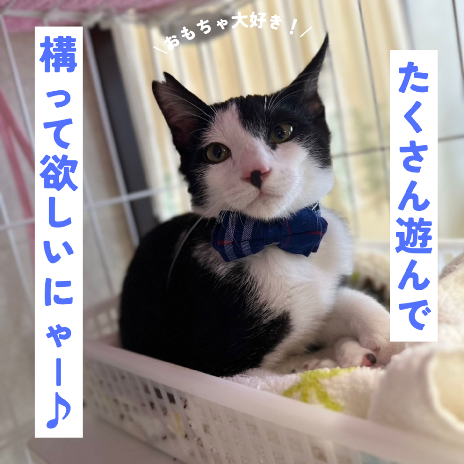 thumbnail-6