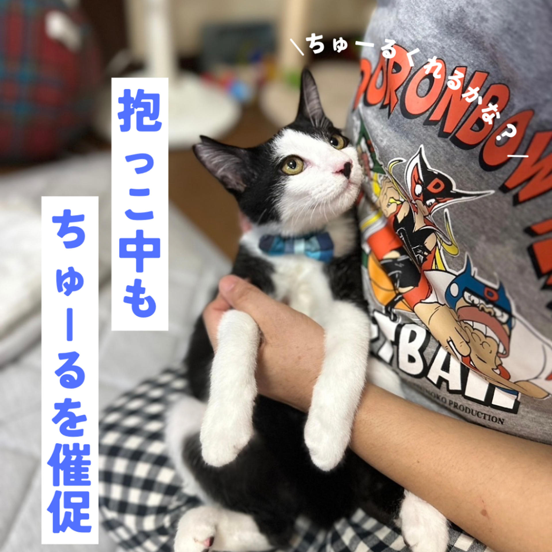pet-image-4