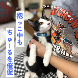 thumb-3
