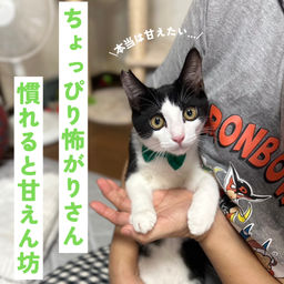 thumb-4