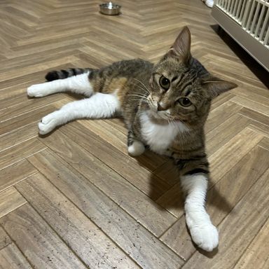 しんちゃんの写真