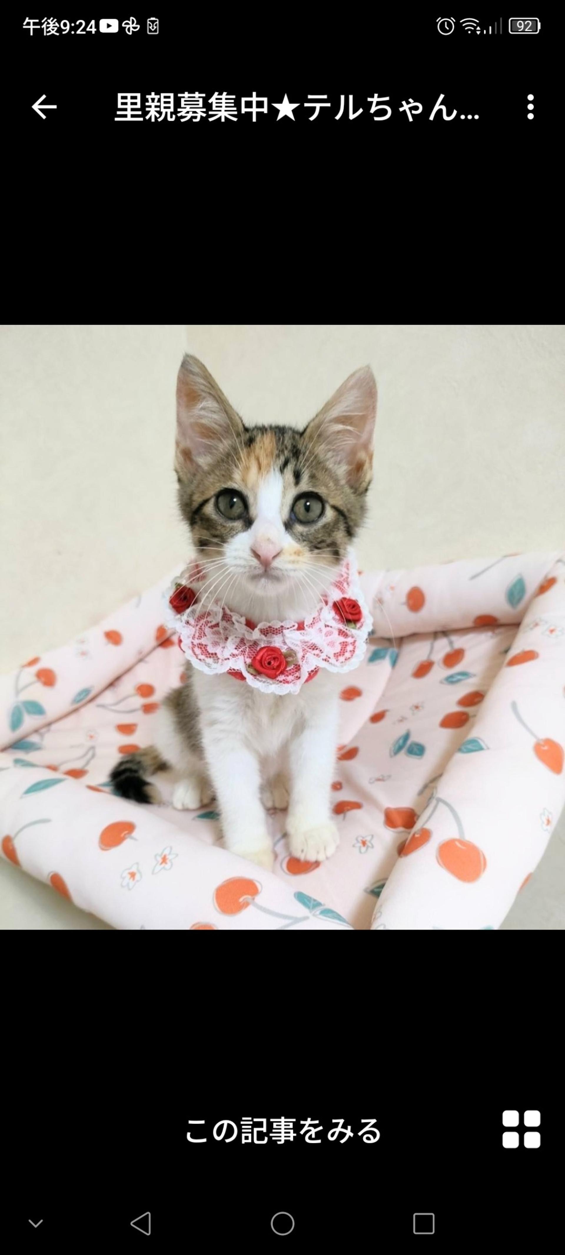 pet-image-3