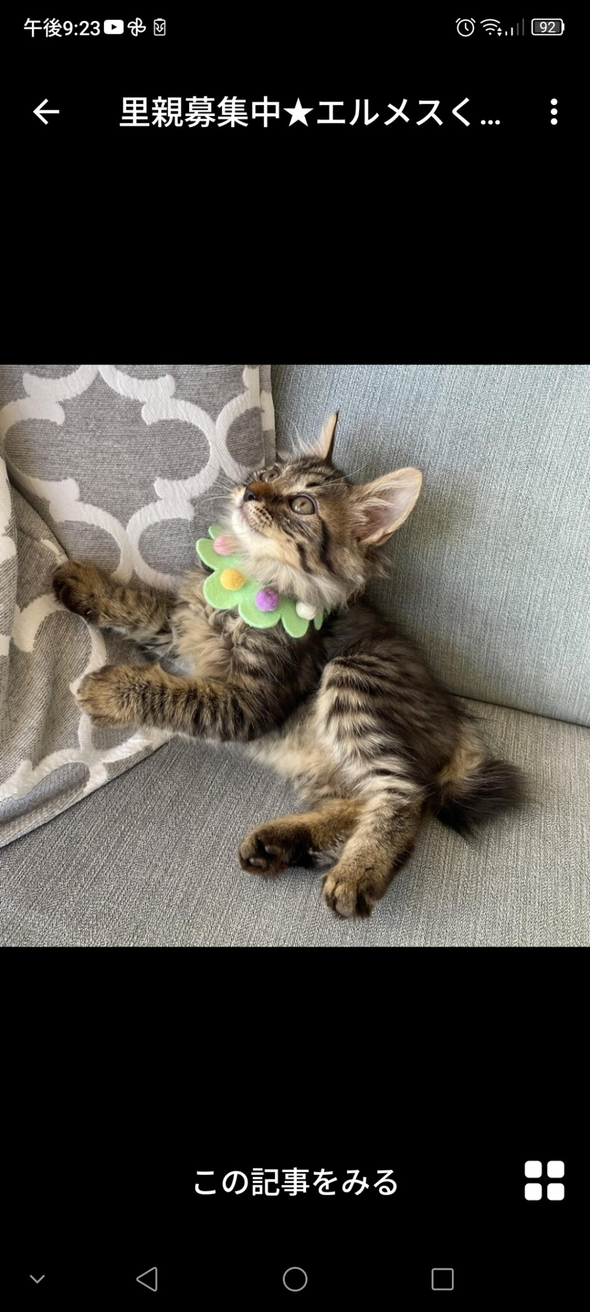 pet-image-3