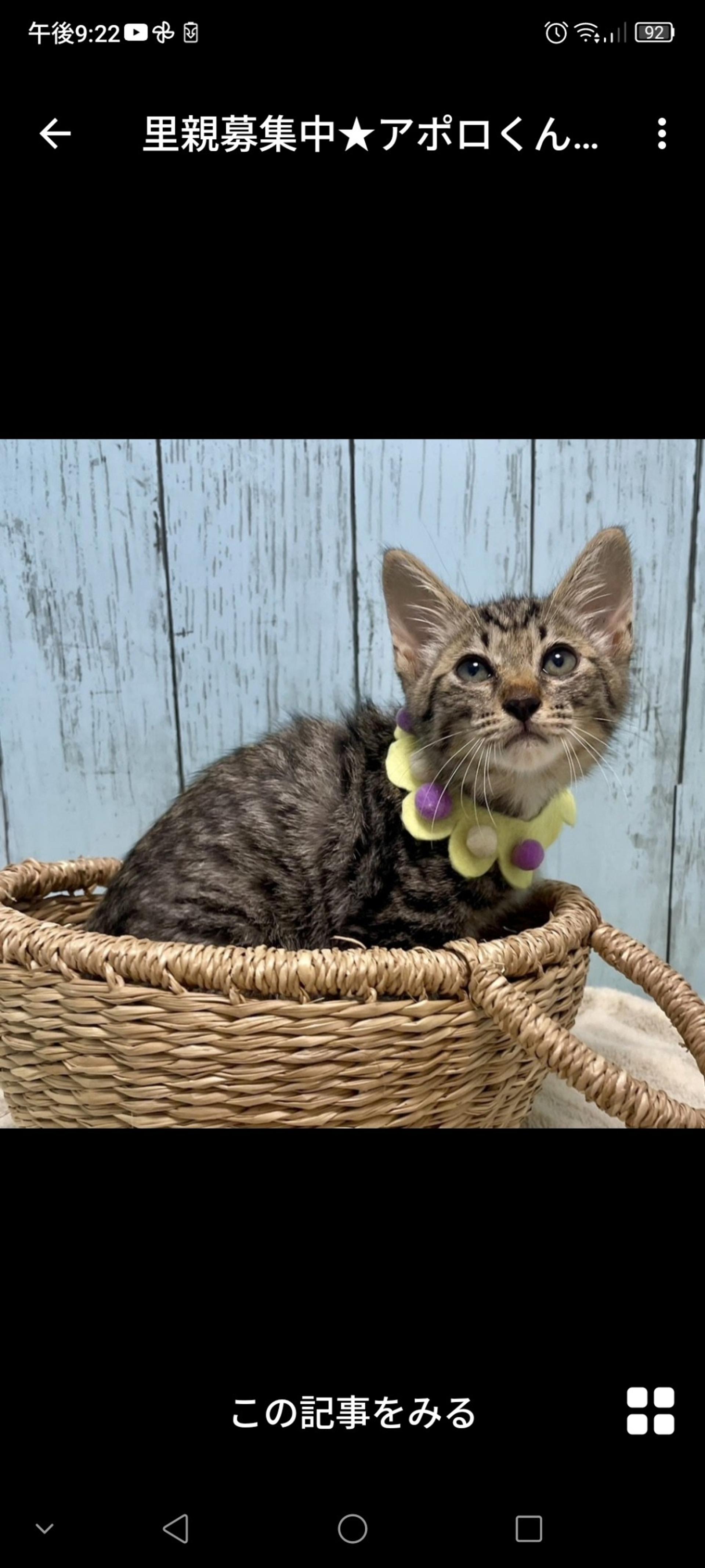 pet-image-3