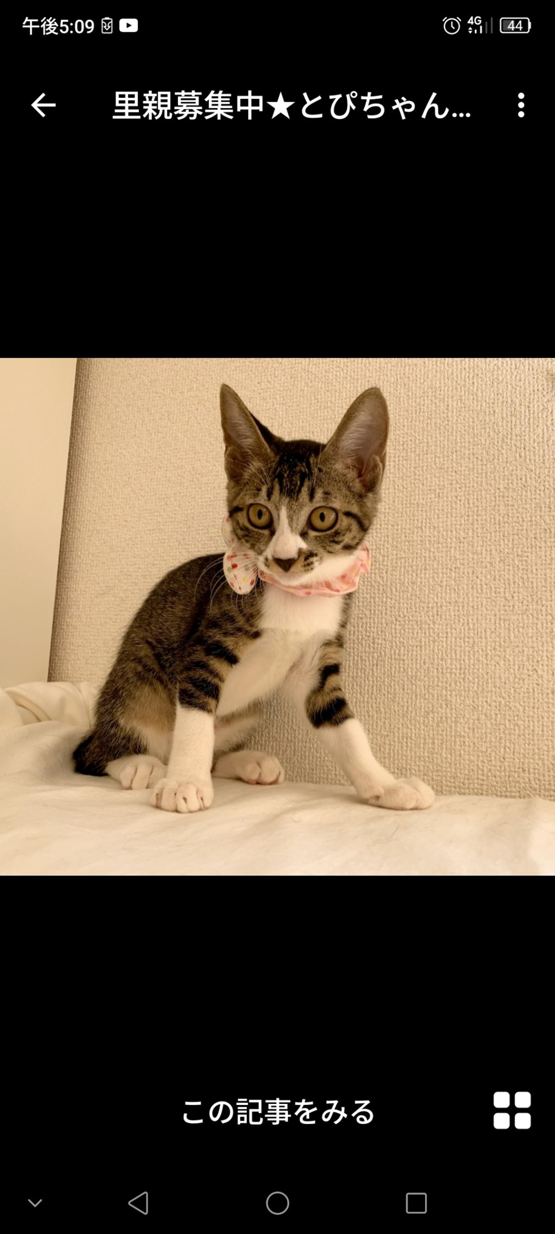 pet-image-3