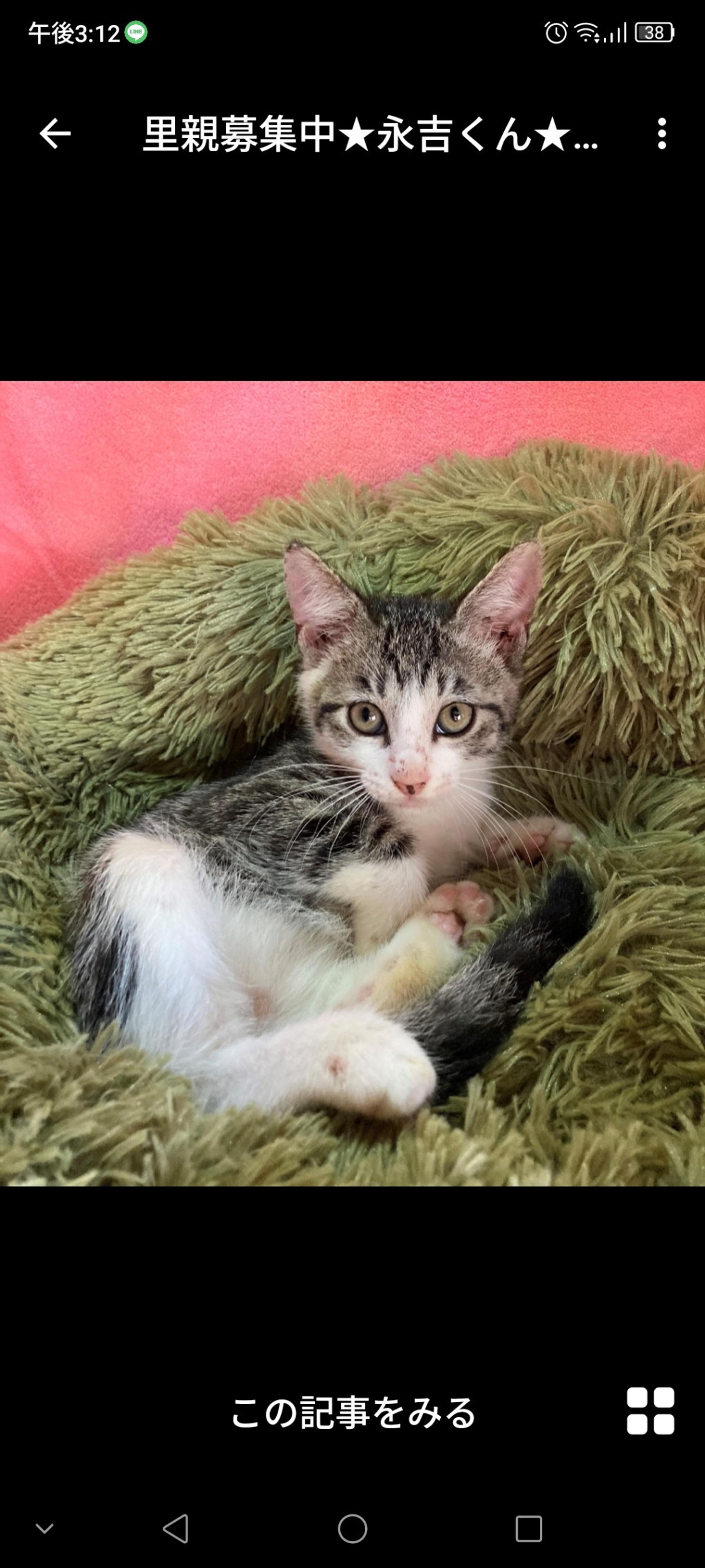 pet-image-3