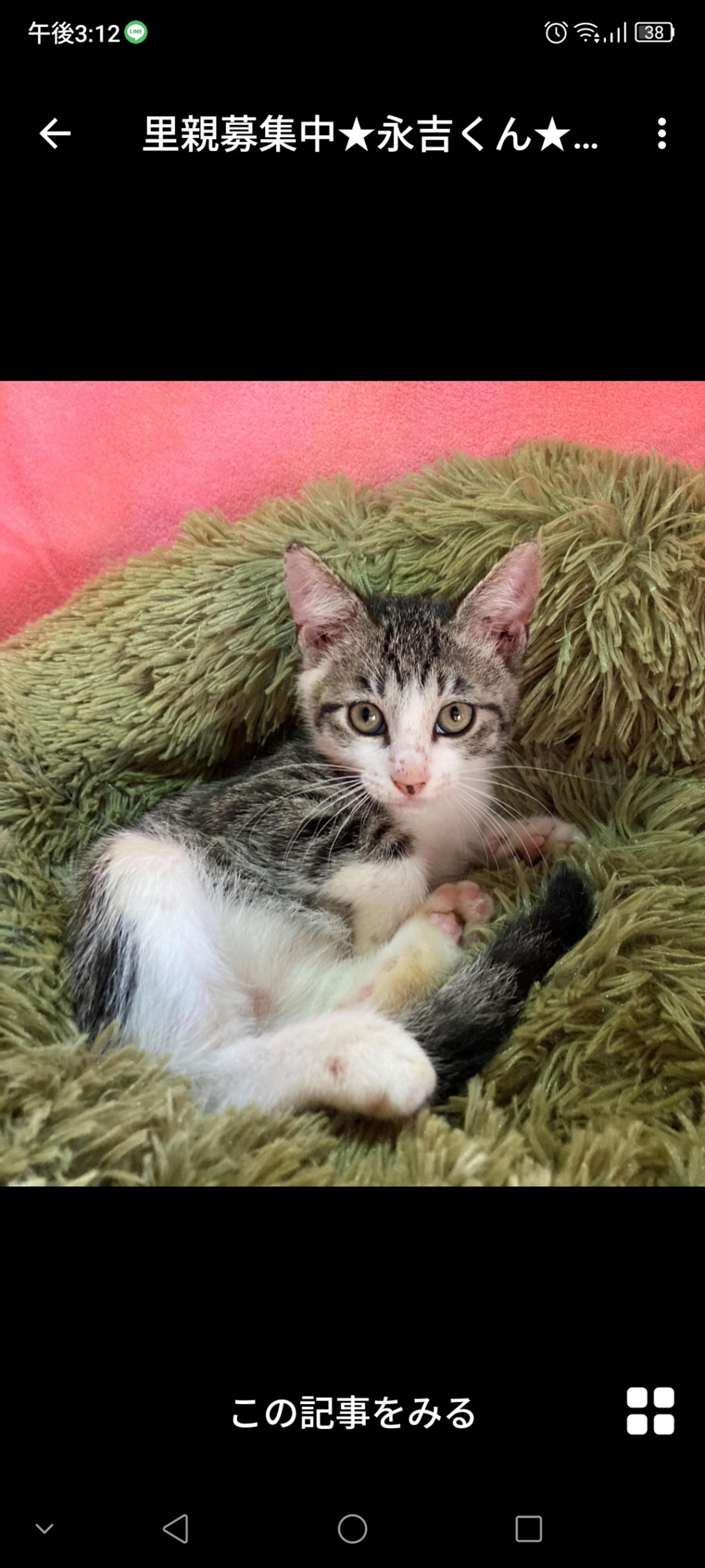 pet-image-3