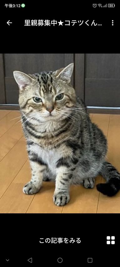 コテツくん