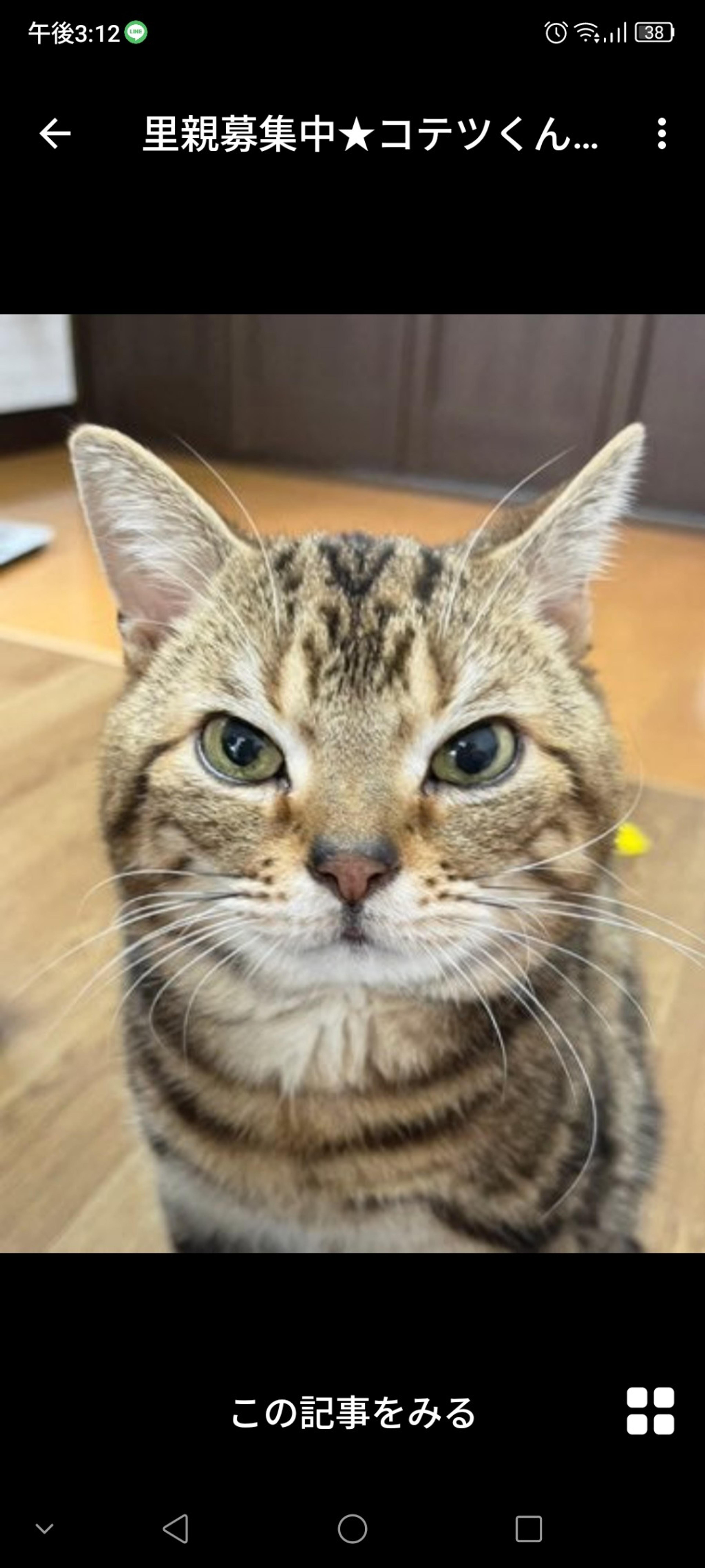 pet-image-2