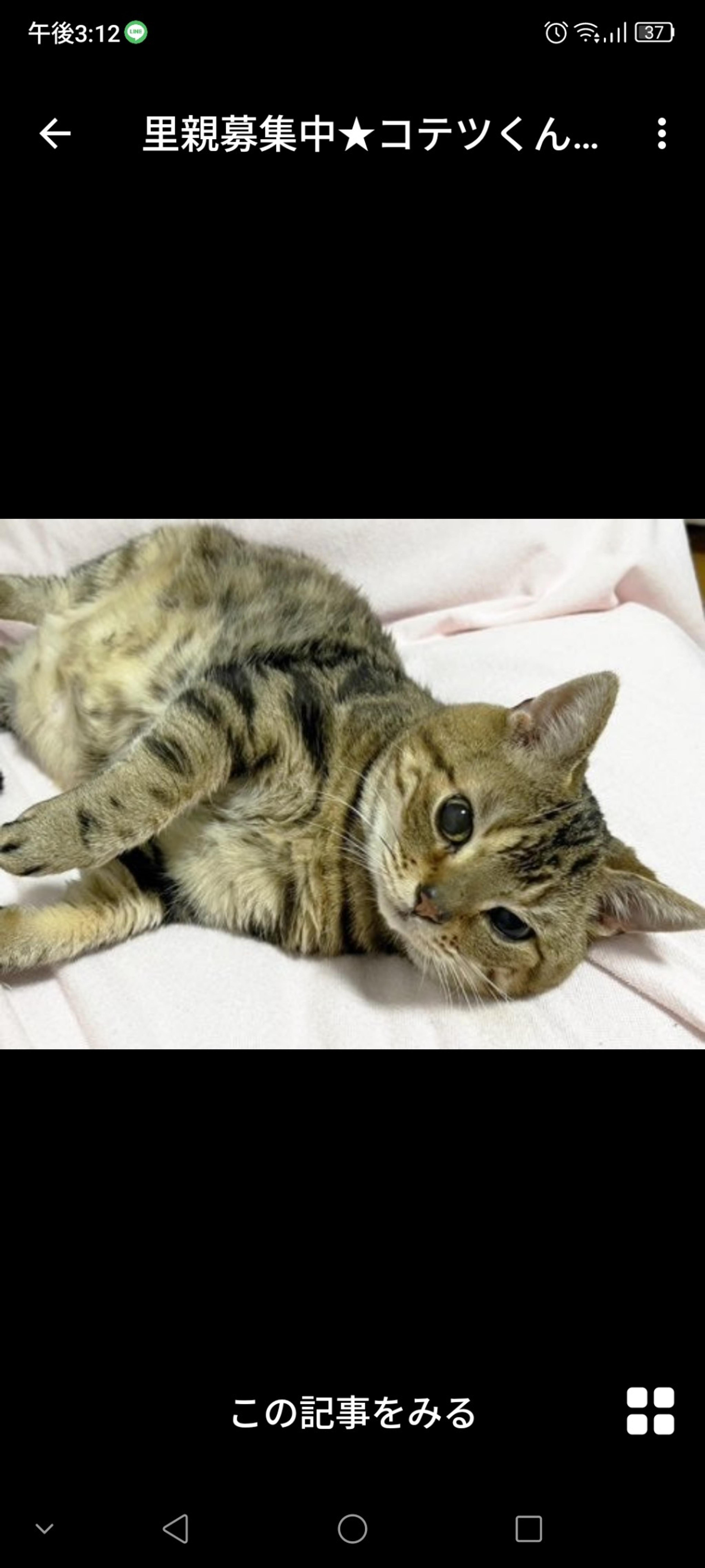 pet-image-3