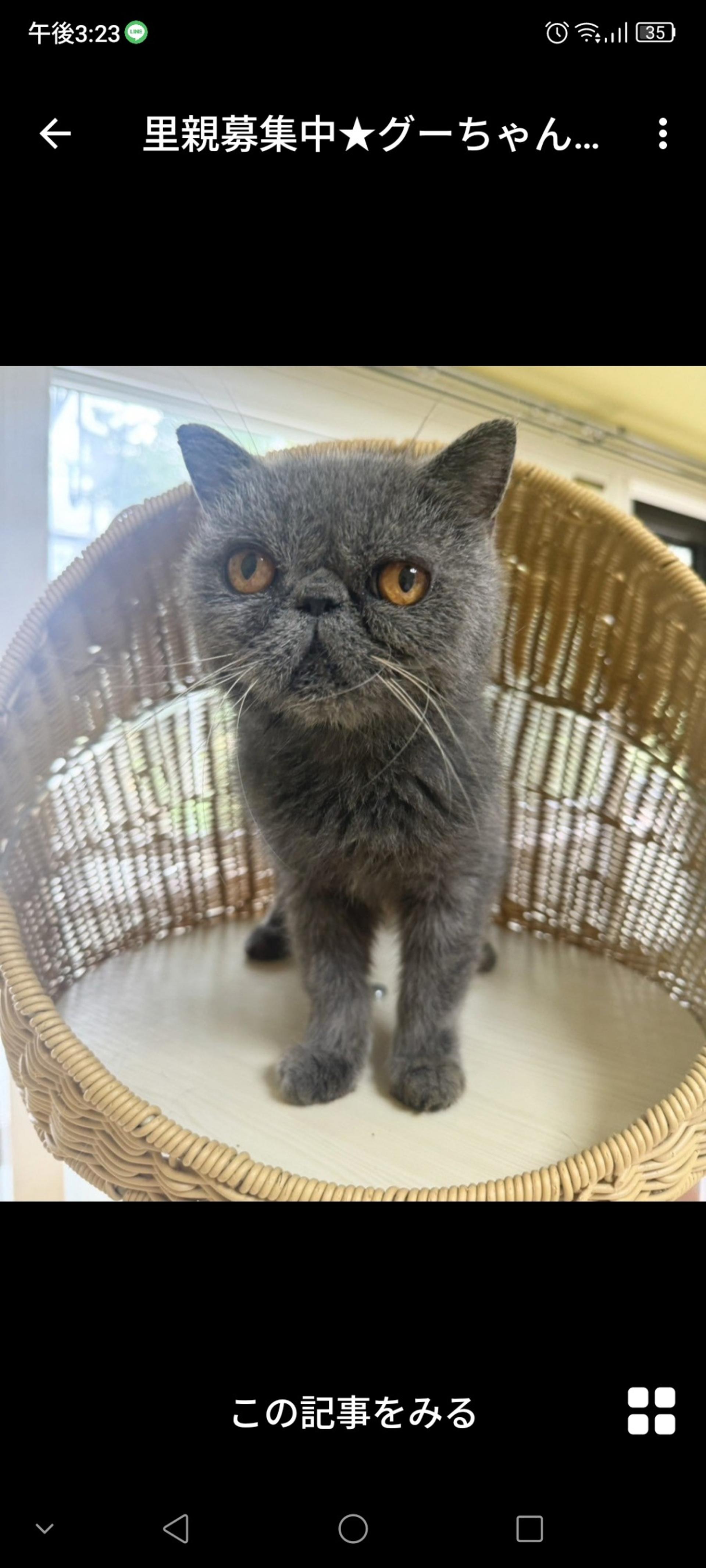 pet-image-2