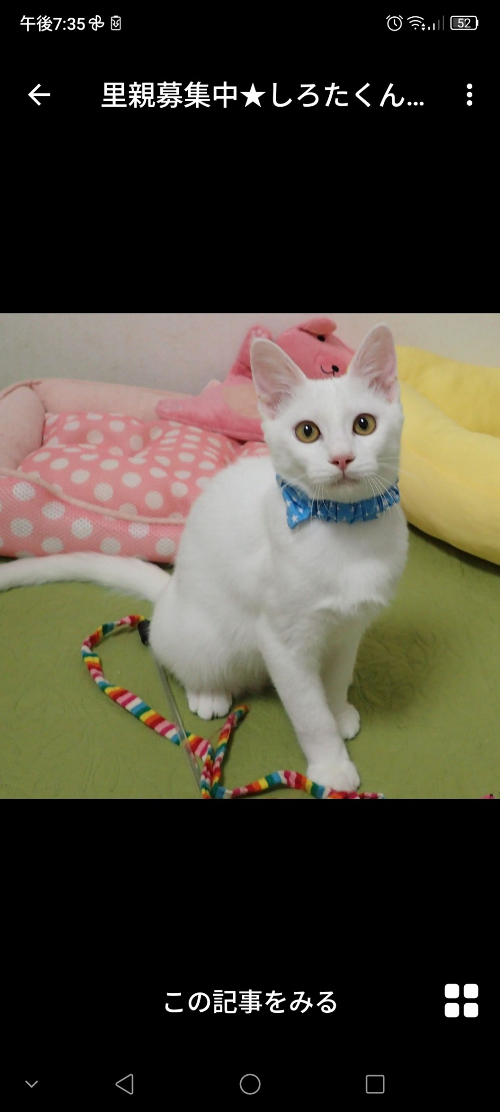 thumbnail-3