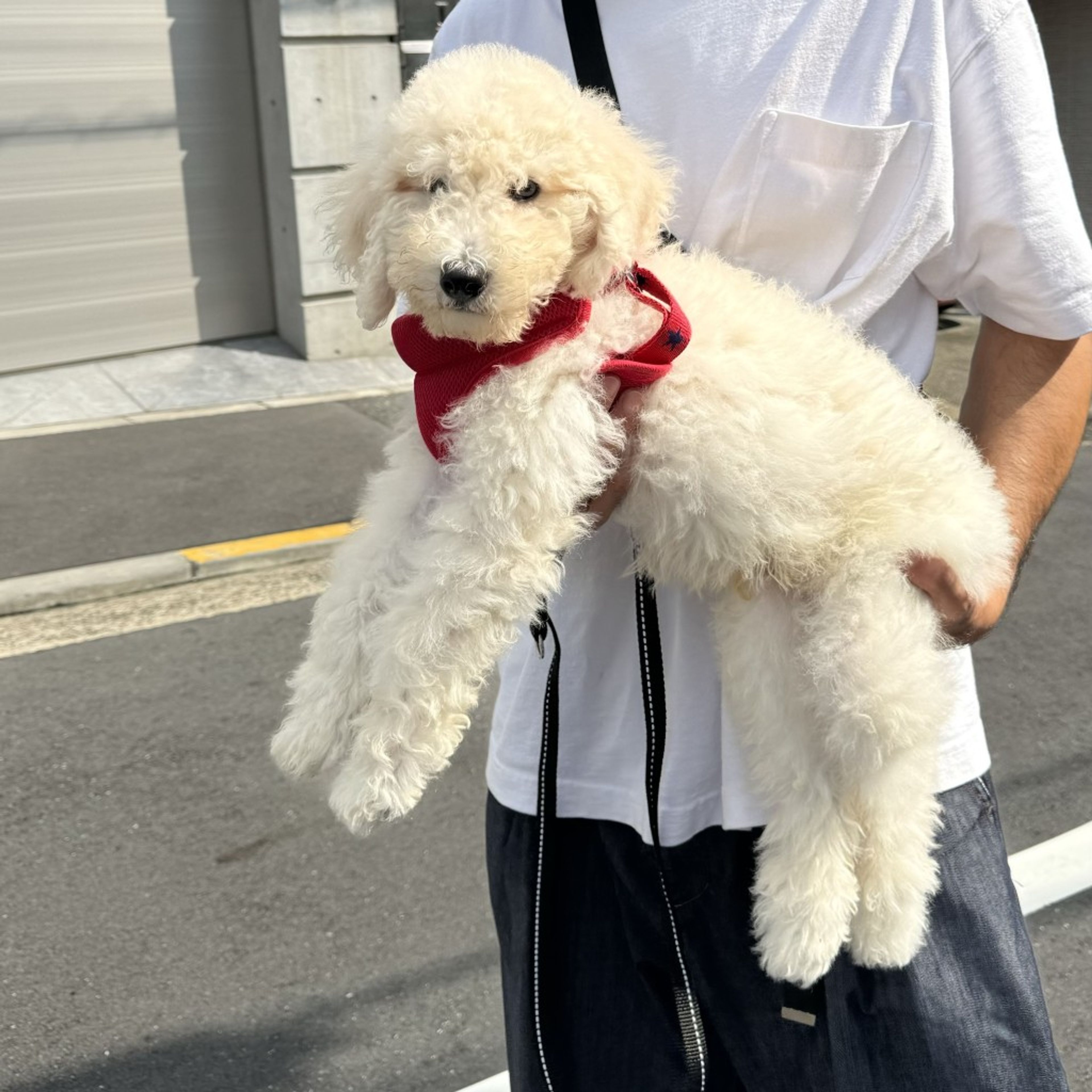 image-4