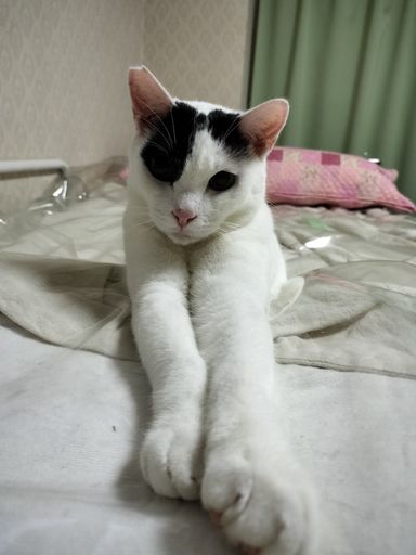 カンの写真
