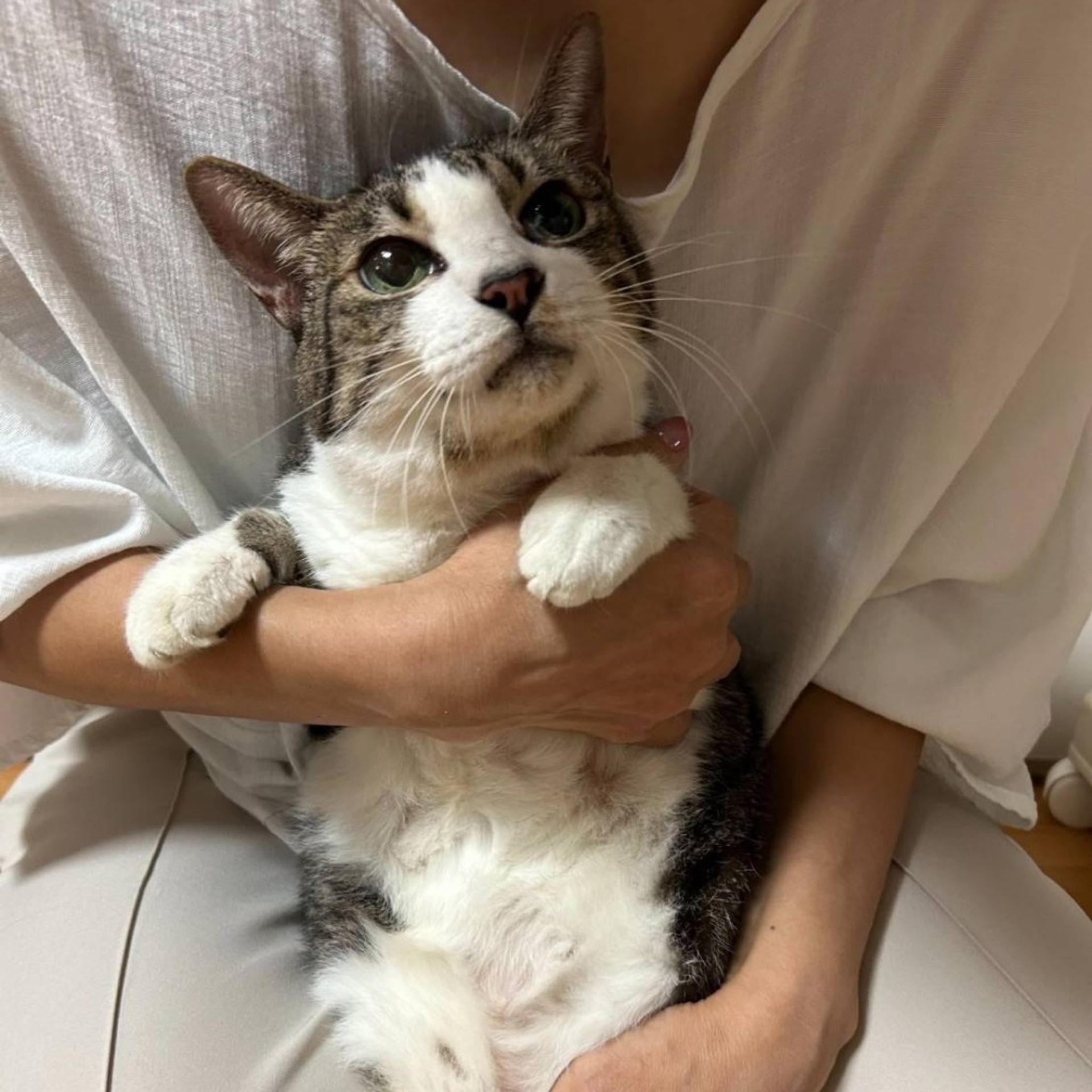 pet-image-7