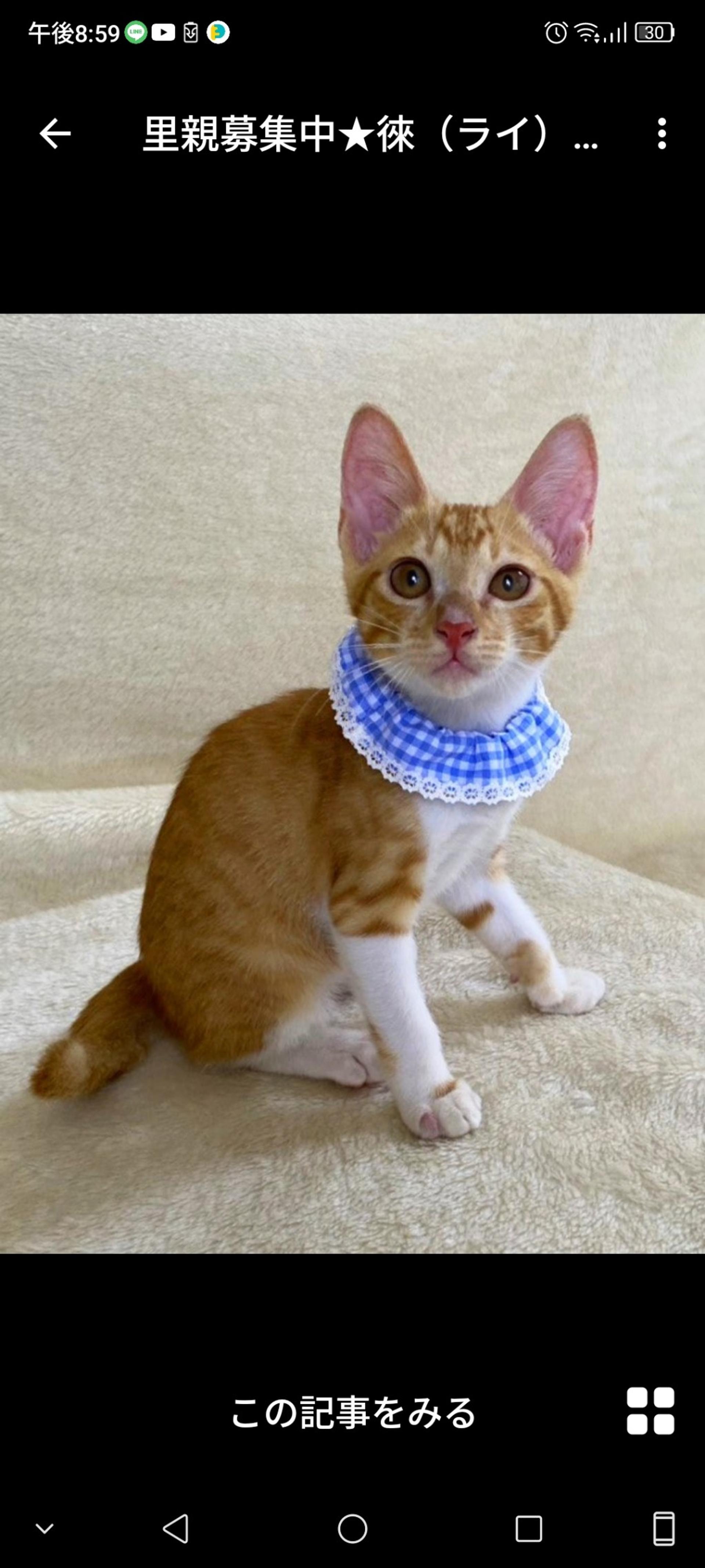 pet-image-2