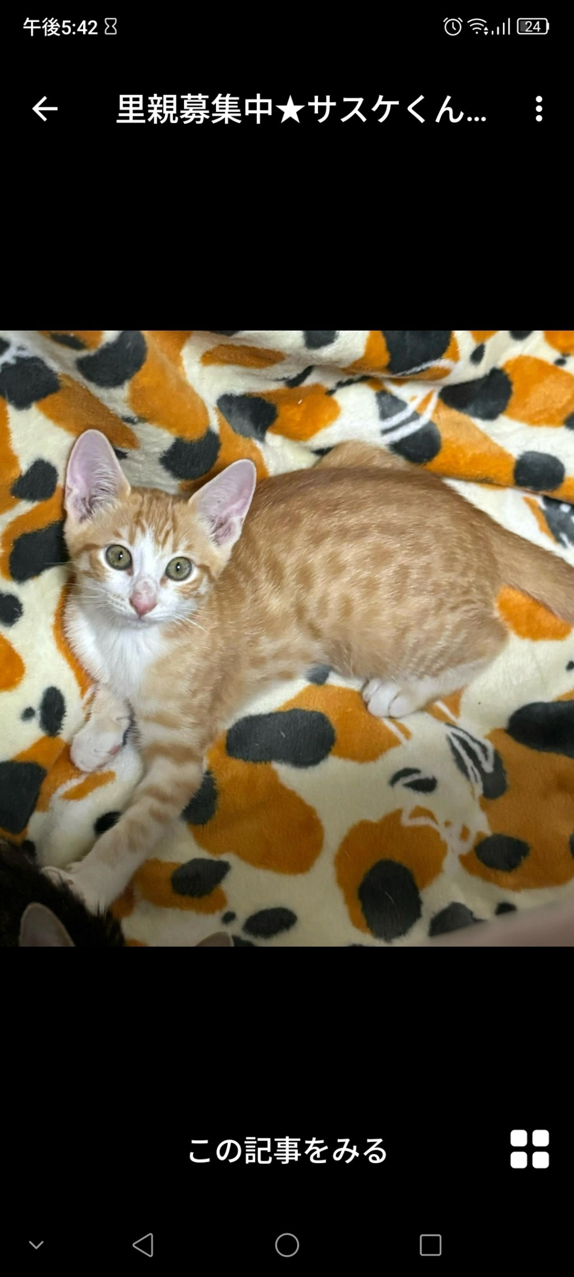 pet-image-2