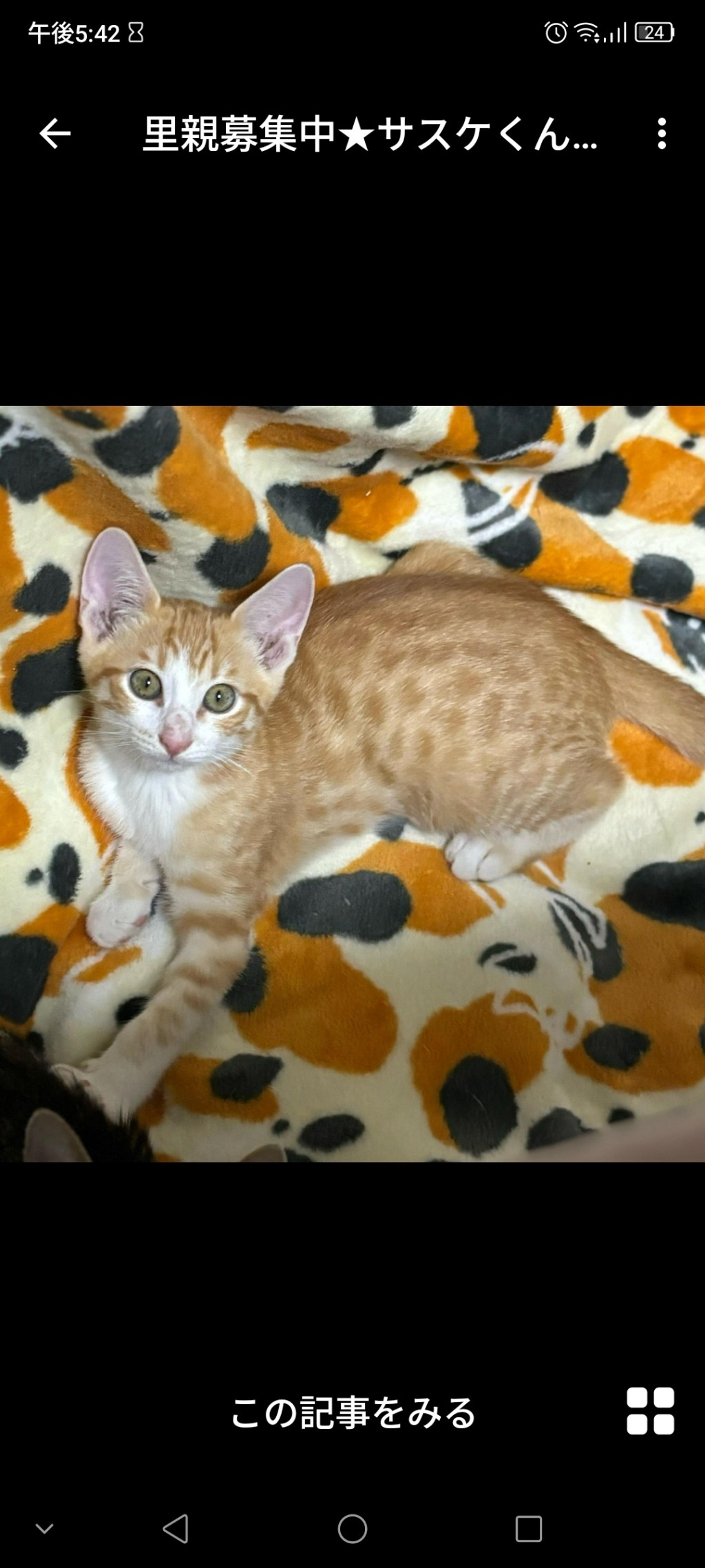 pet-image-2