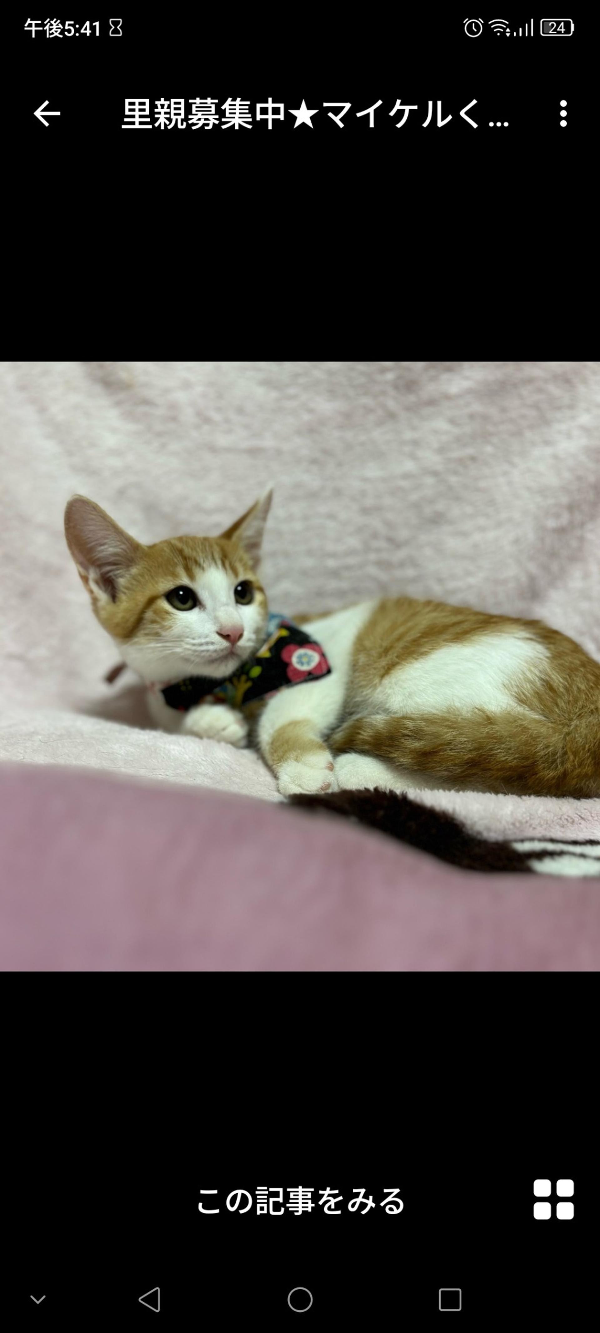 pet-image-2