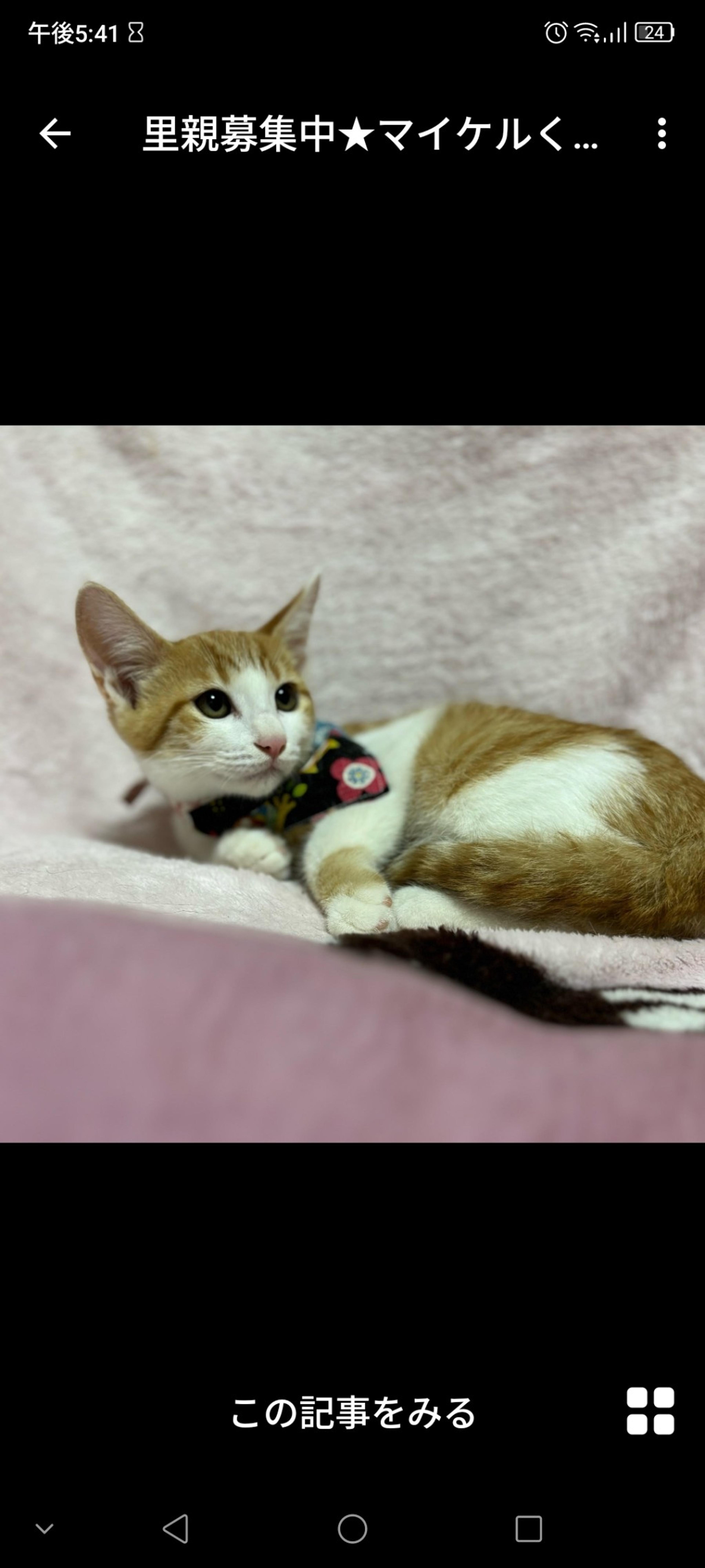 pet-image-2