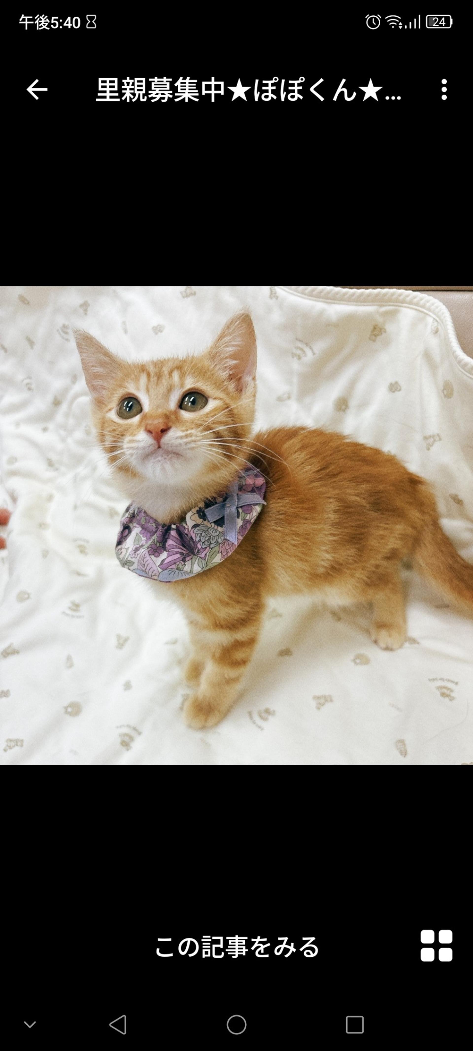pet-image-2