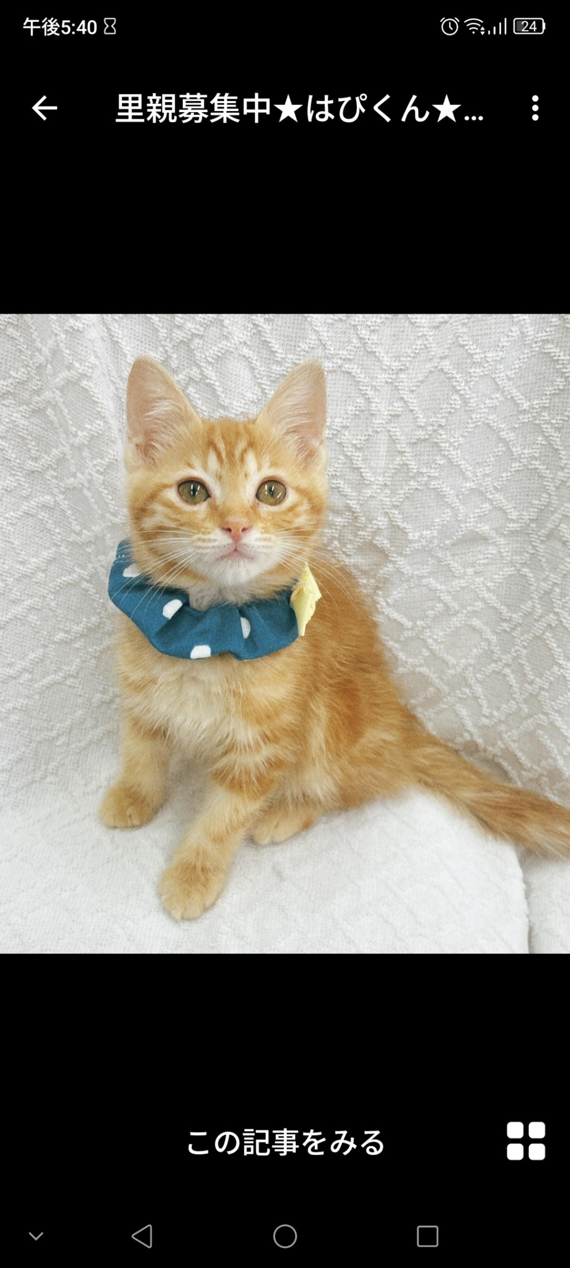 pet-image-2