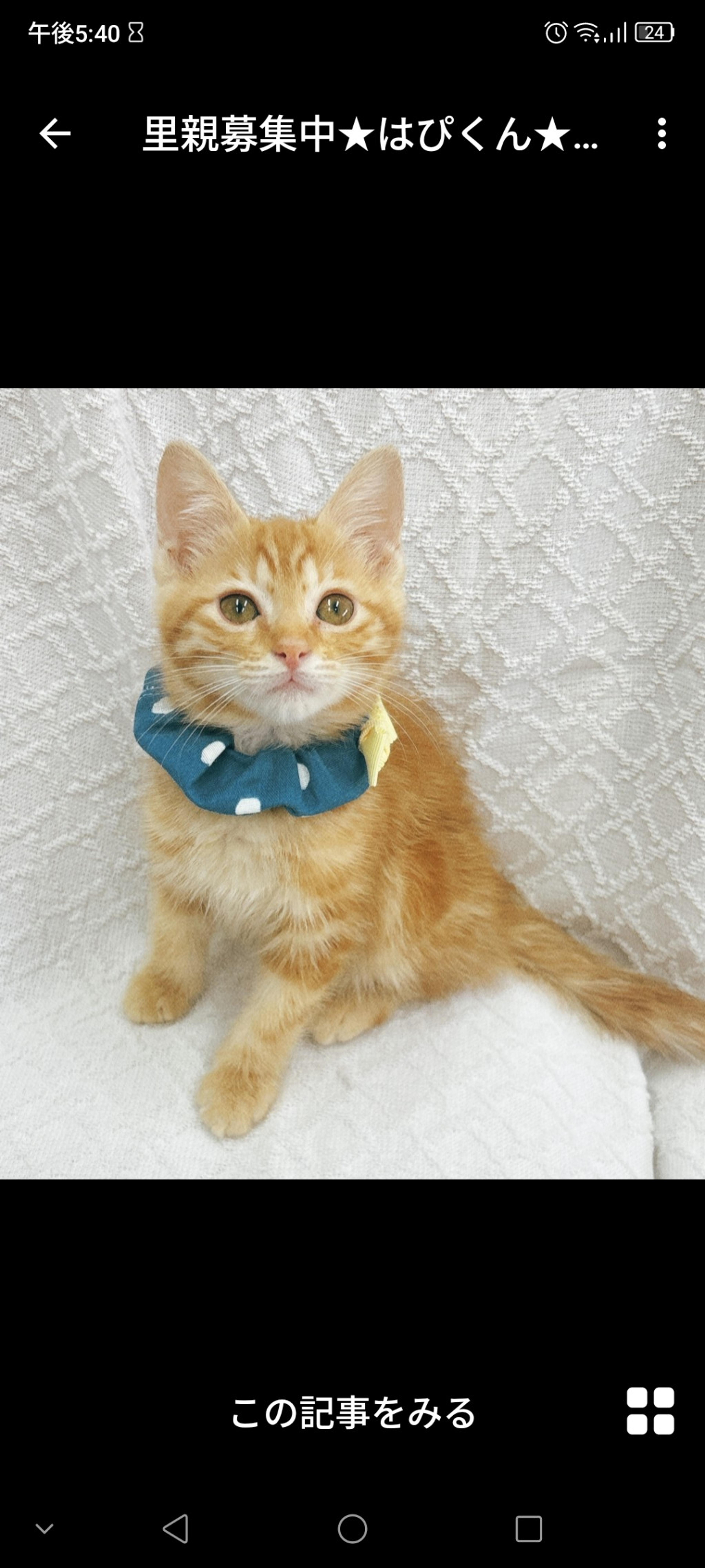 pet-image-2