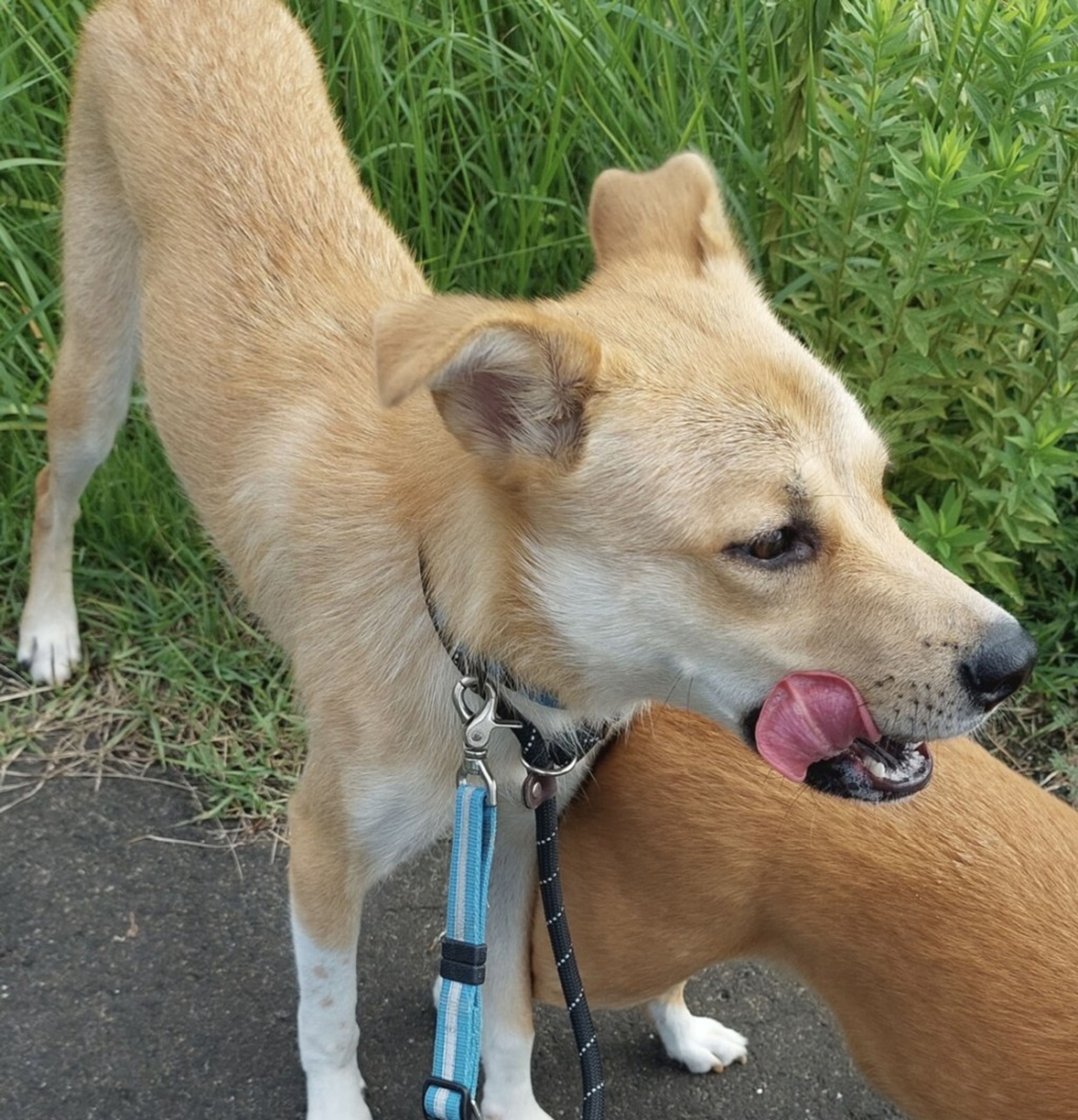 image-6