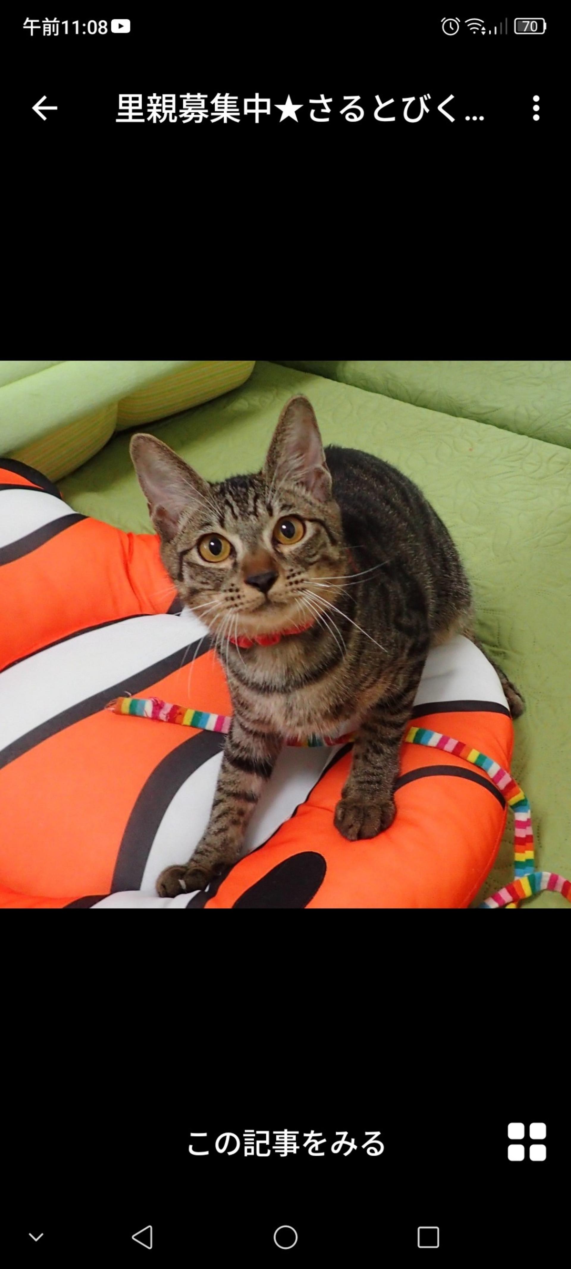 pet-image-2