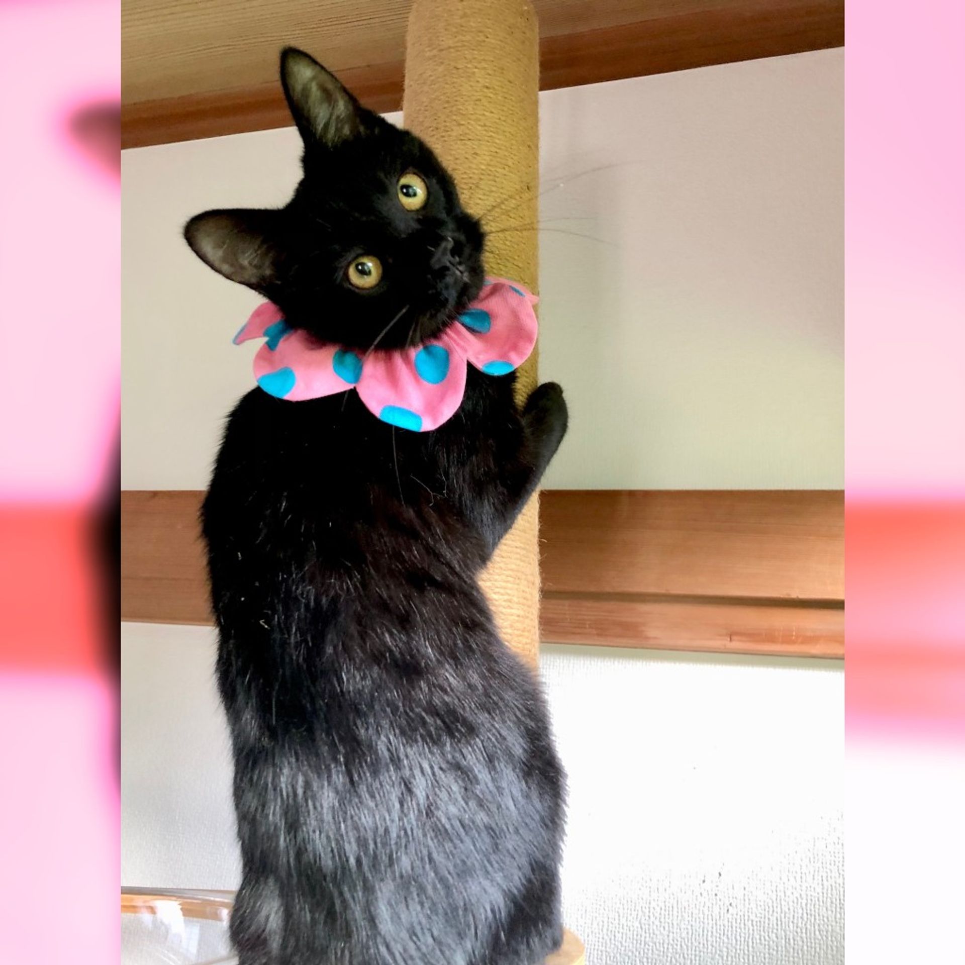 thumbnail-5