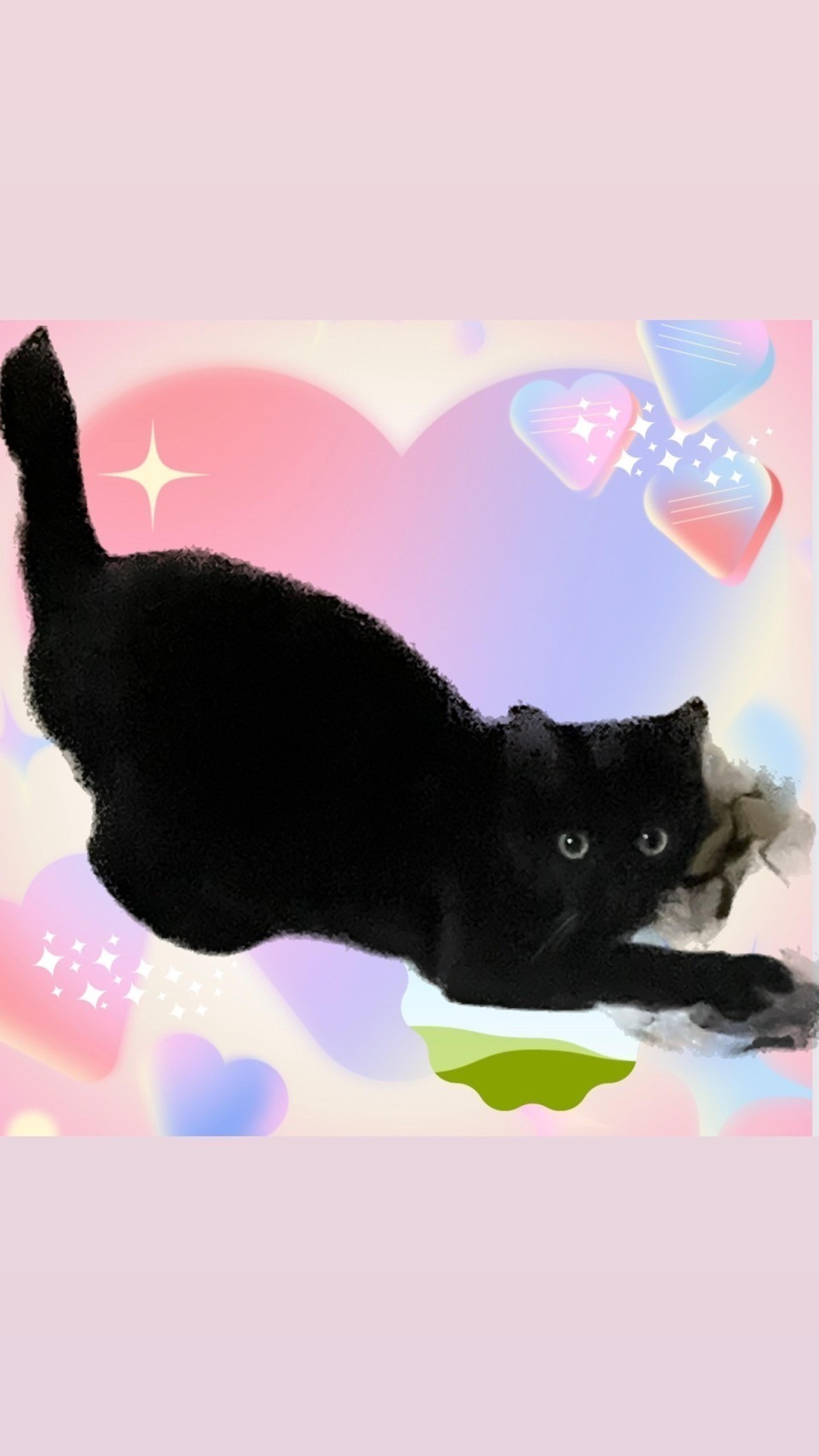 pet-image-4