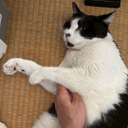 thumb-8