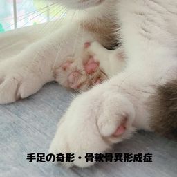 thumb-6